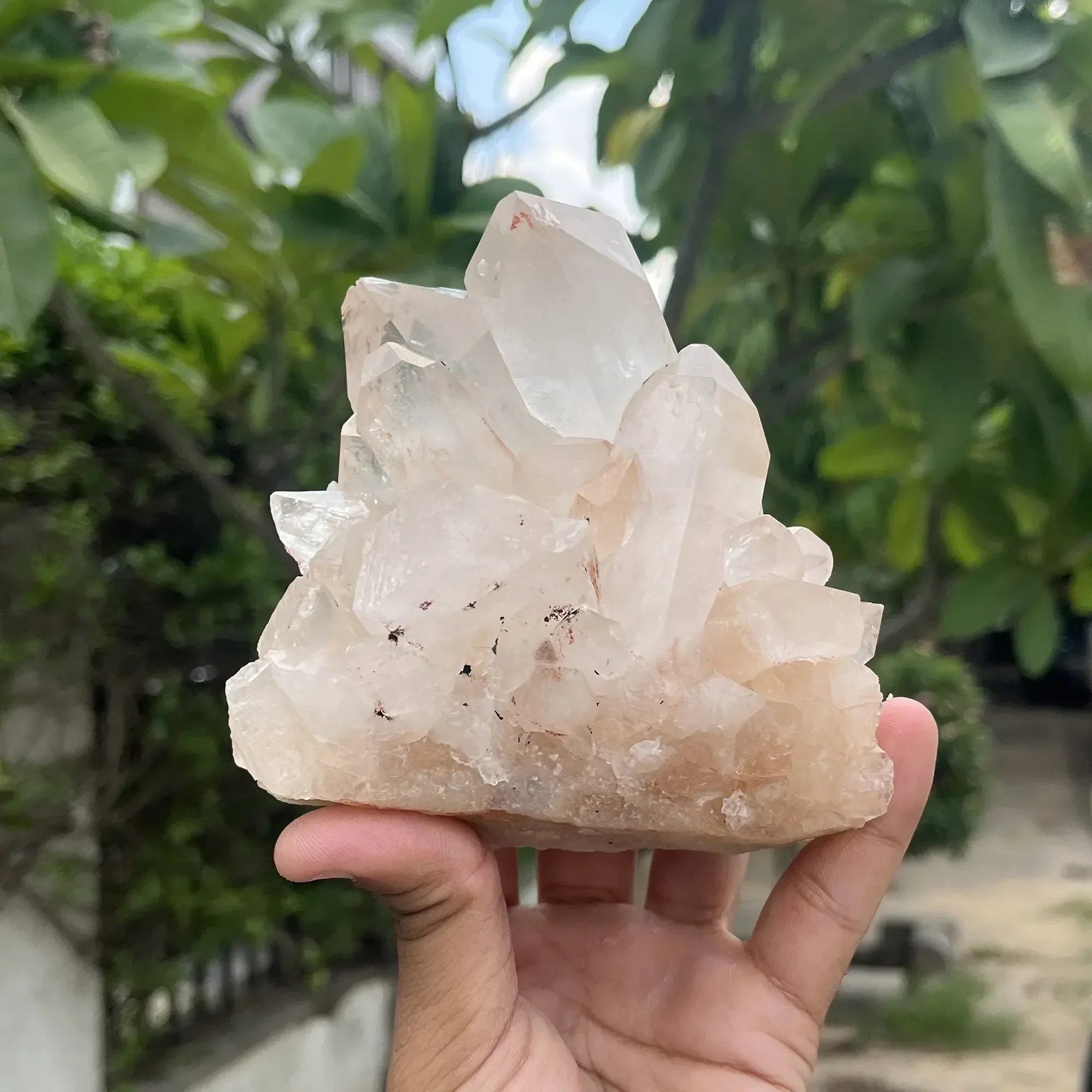 Natural Himalayan Pink Quartz Cluster 370g Himalayan Quartz