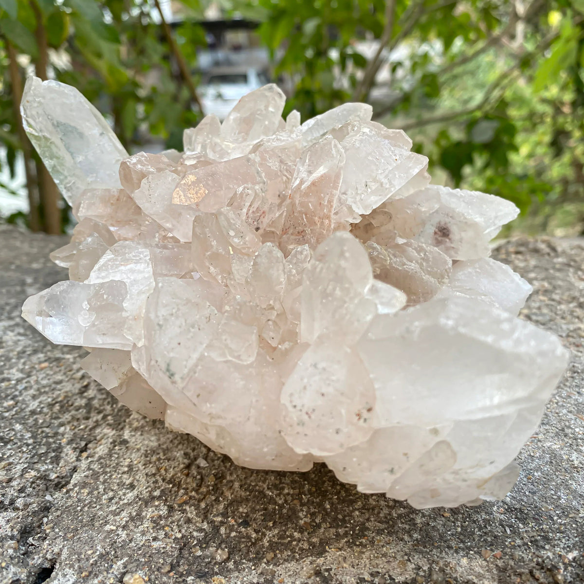 Natural Himalayan Pink Quartz Cluster 1665g Himalayan Quartz