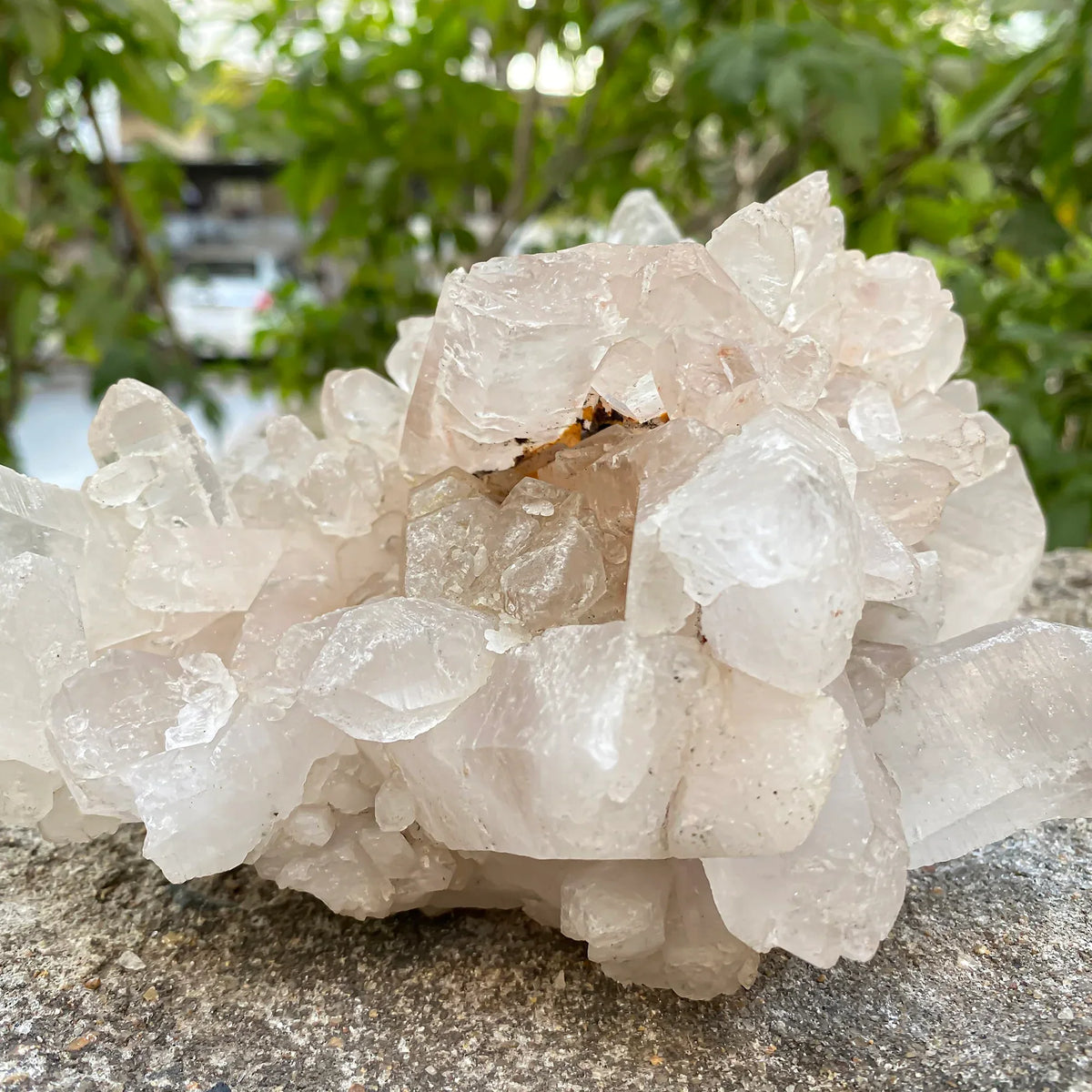 Natural Himalayan Pink Quartz Cluster 1665g Himalayan Quartz
