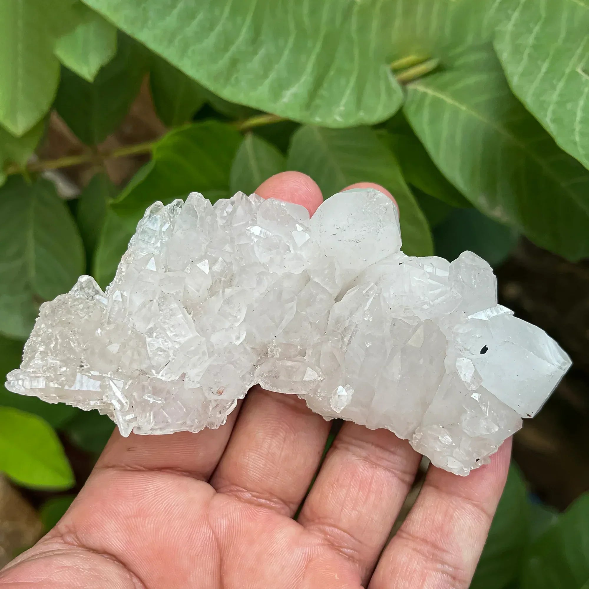 Natural Himalayan White Quartz Cluster 125g Himalayan Quartz