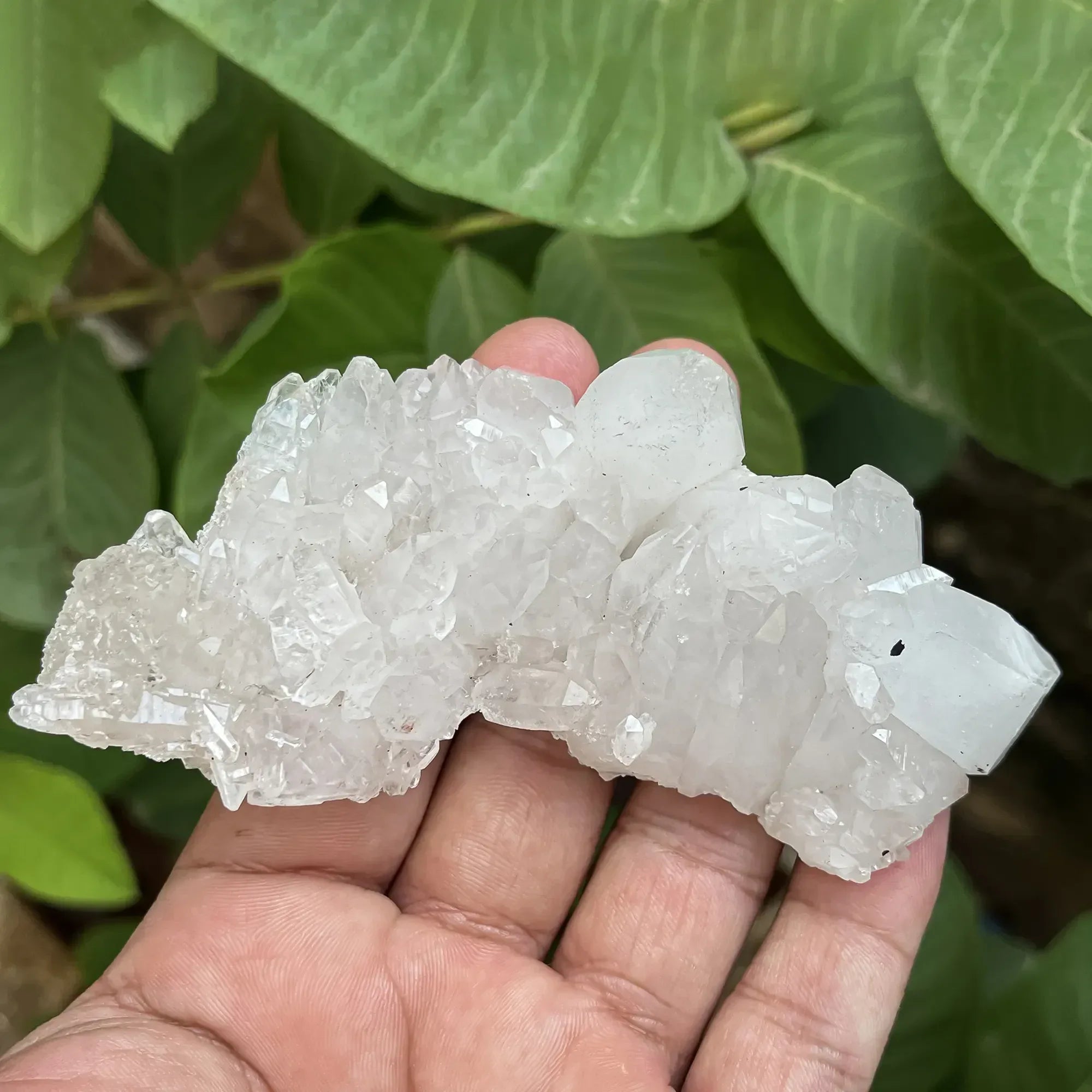 Natural Himalayan White Quartz Cluster 125g Himalayan Quartz