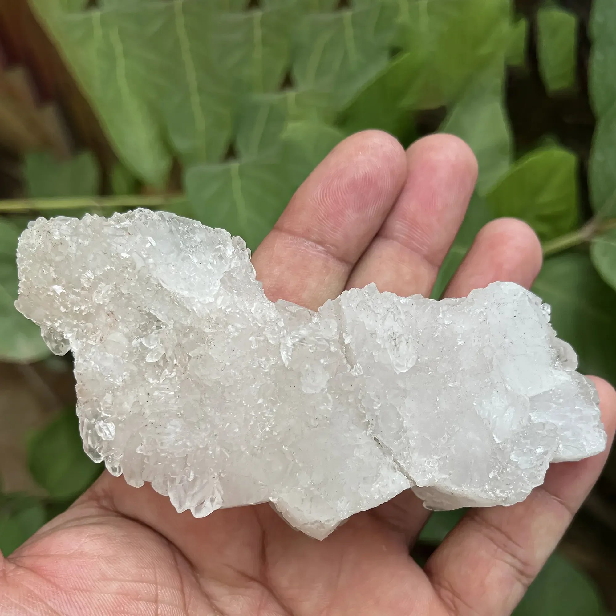 Natural Himalayan White Quartz Cluster 125g Himalayan Quartz