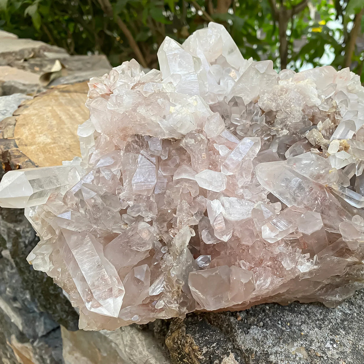 Natural Himalayan Pink Quartz Cluster 2925g Himalayan Quartz