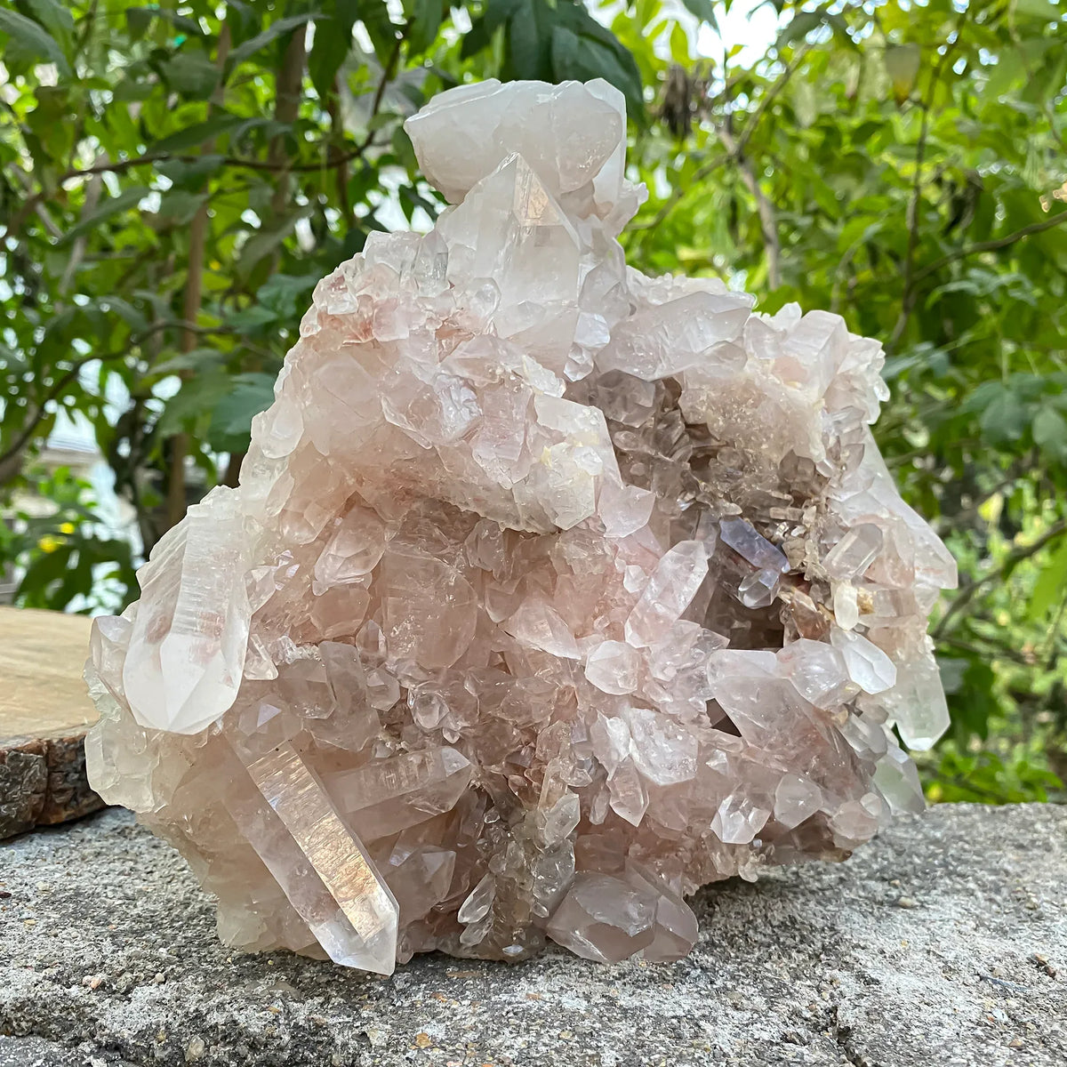 Natural Himalayan Pink Quartz Cluster 2925g Himalayan Quartz