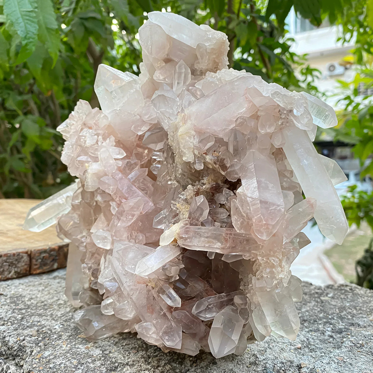 Natural Himalayan Pink Quartz Cluster 2925g Himalayan Quartz
