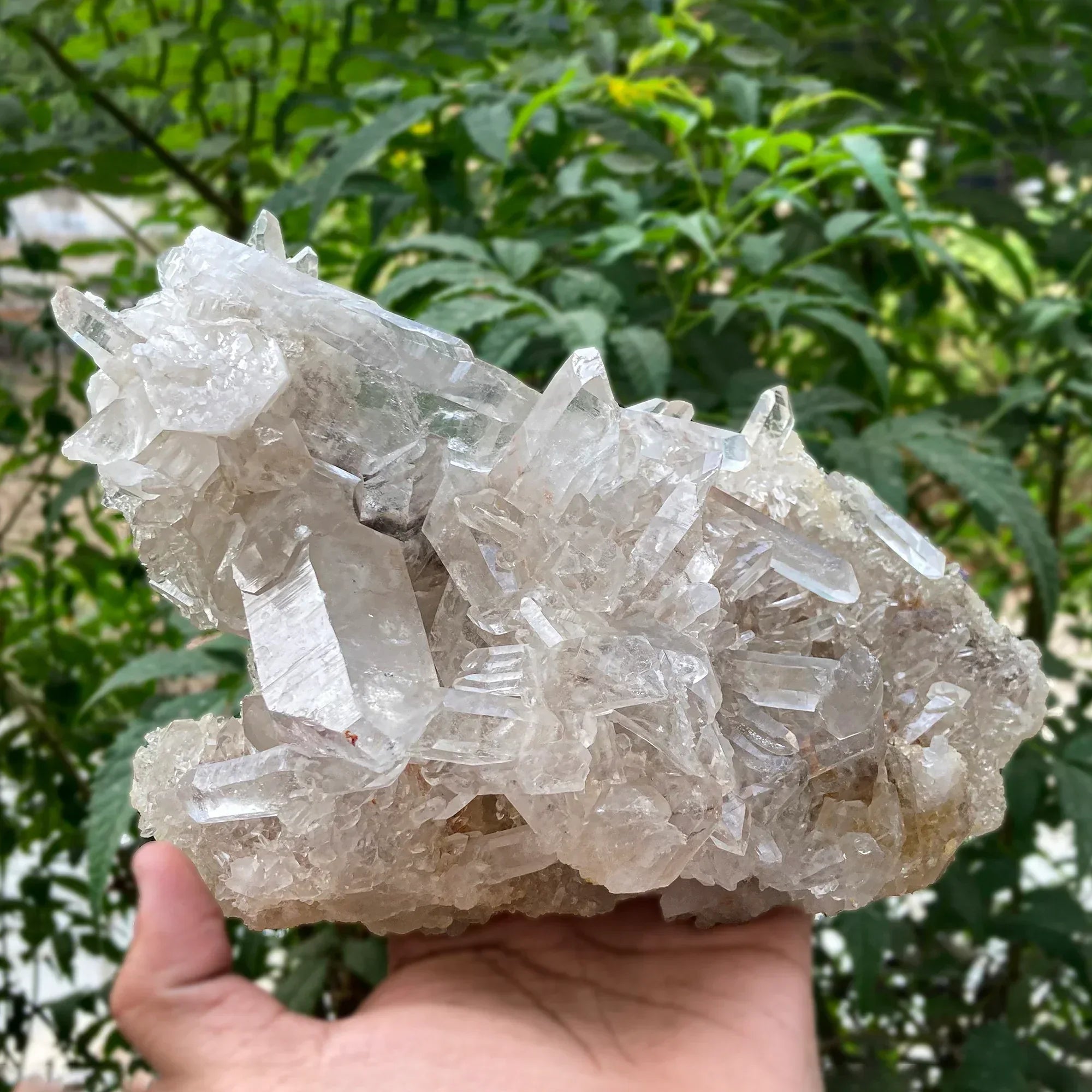 Natural Himalayan White & Pink Quartz Cluster 1815g Himalayan Quartz