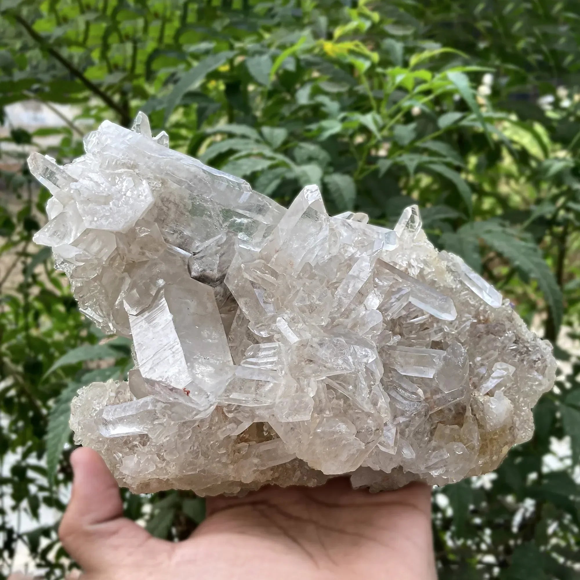 Natural Himalayan White & Pink Quartz Cluster 1815g Himalayan Quartz