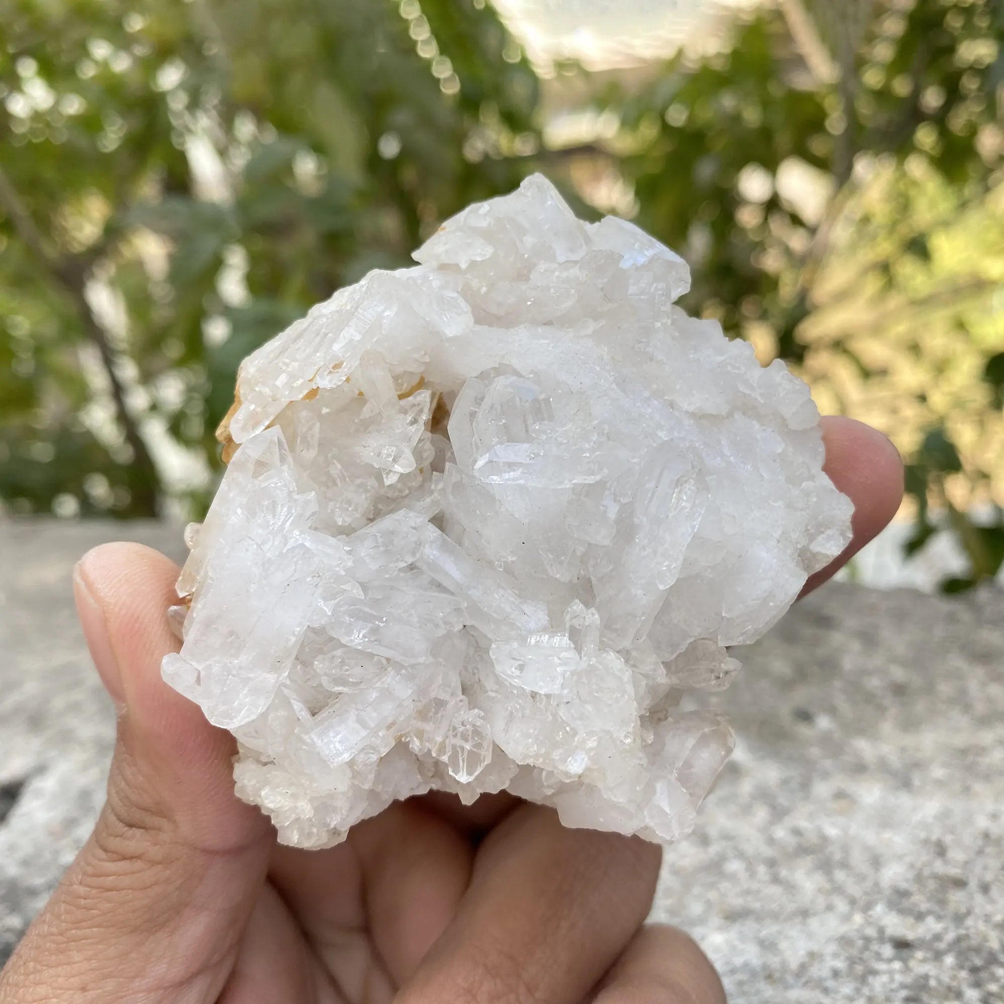 White Himalayan Quartz Samadhi Raw Mineral Crystal Cluster Healing Specimen Stone