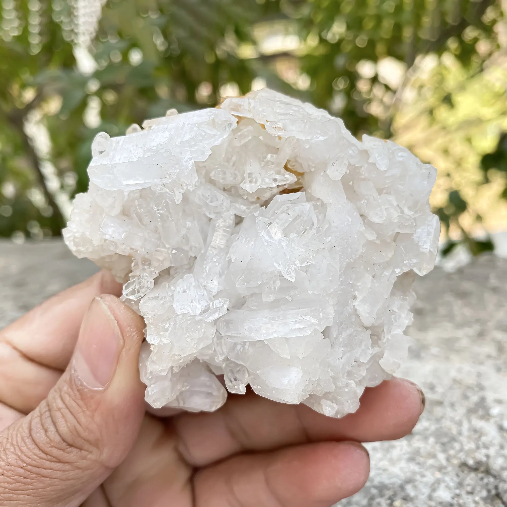 White Himalayan Quartz Samadhi Raw Mineral Crystal Cluster Healing Specimen Stone