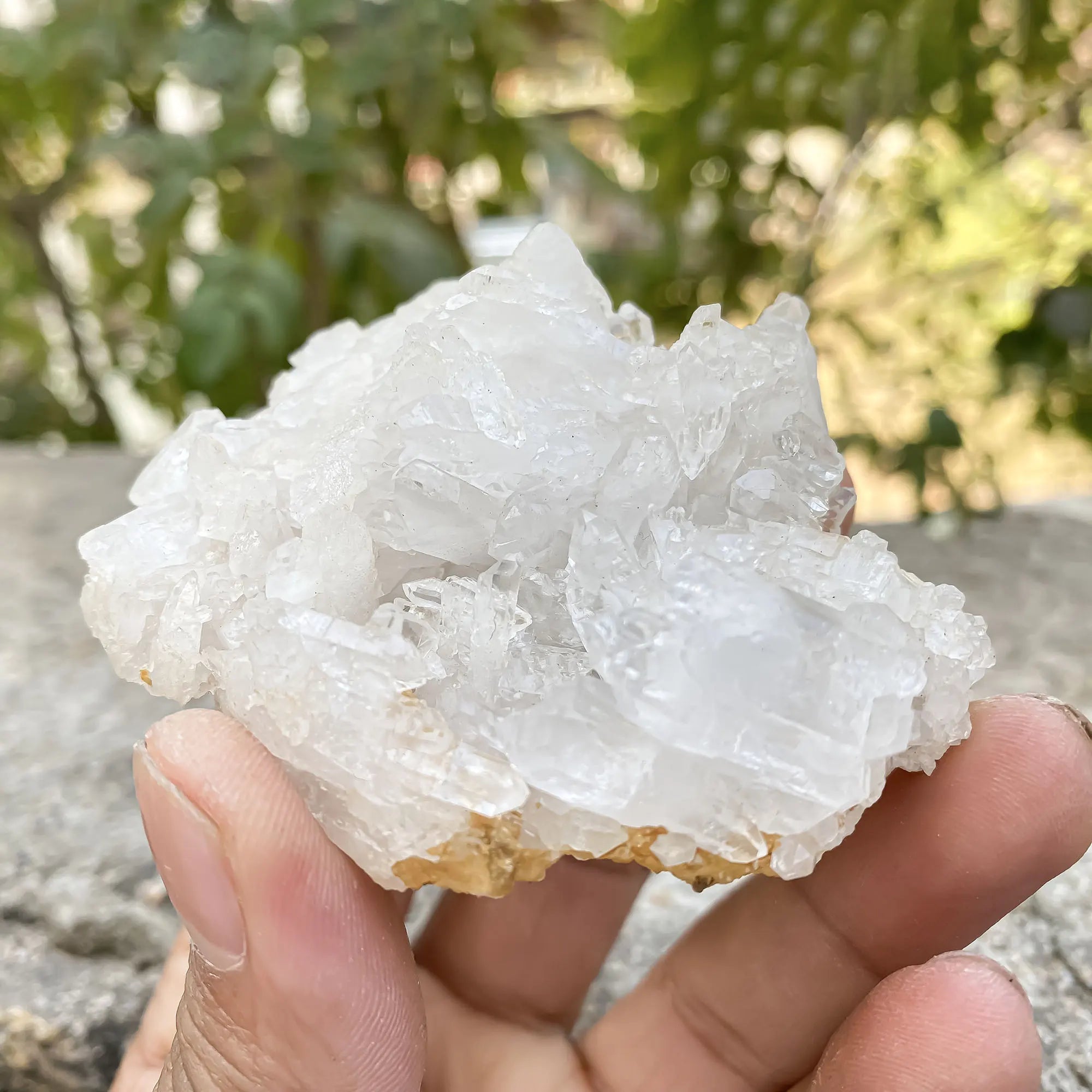 White Himalayan Quartz Samadhi Raw Mineral Crystal Cluster Healing Specimen Stone