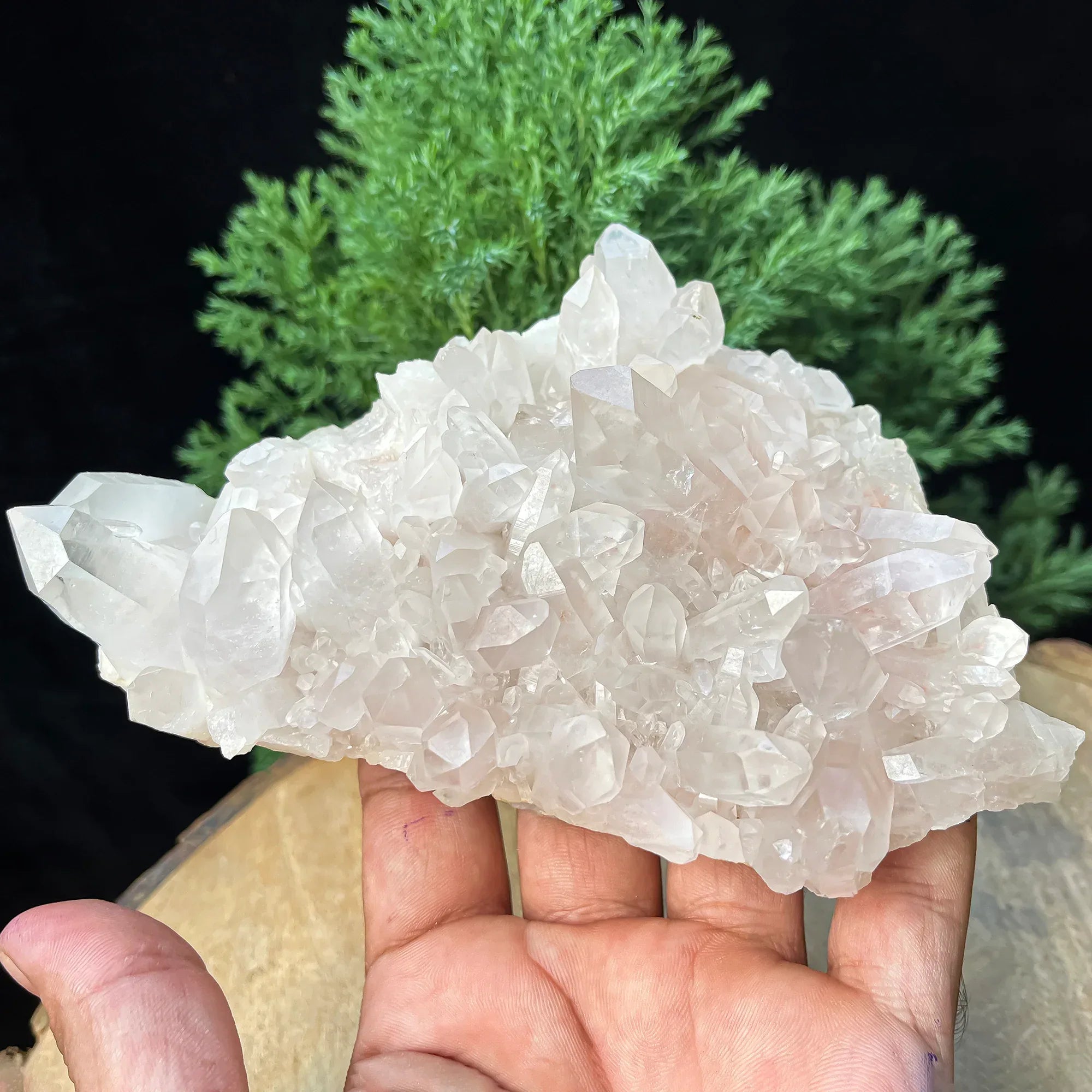 Natural Himalayan Pink Quartz Cluster 585g Healing Crystal Himalayan Quartz