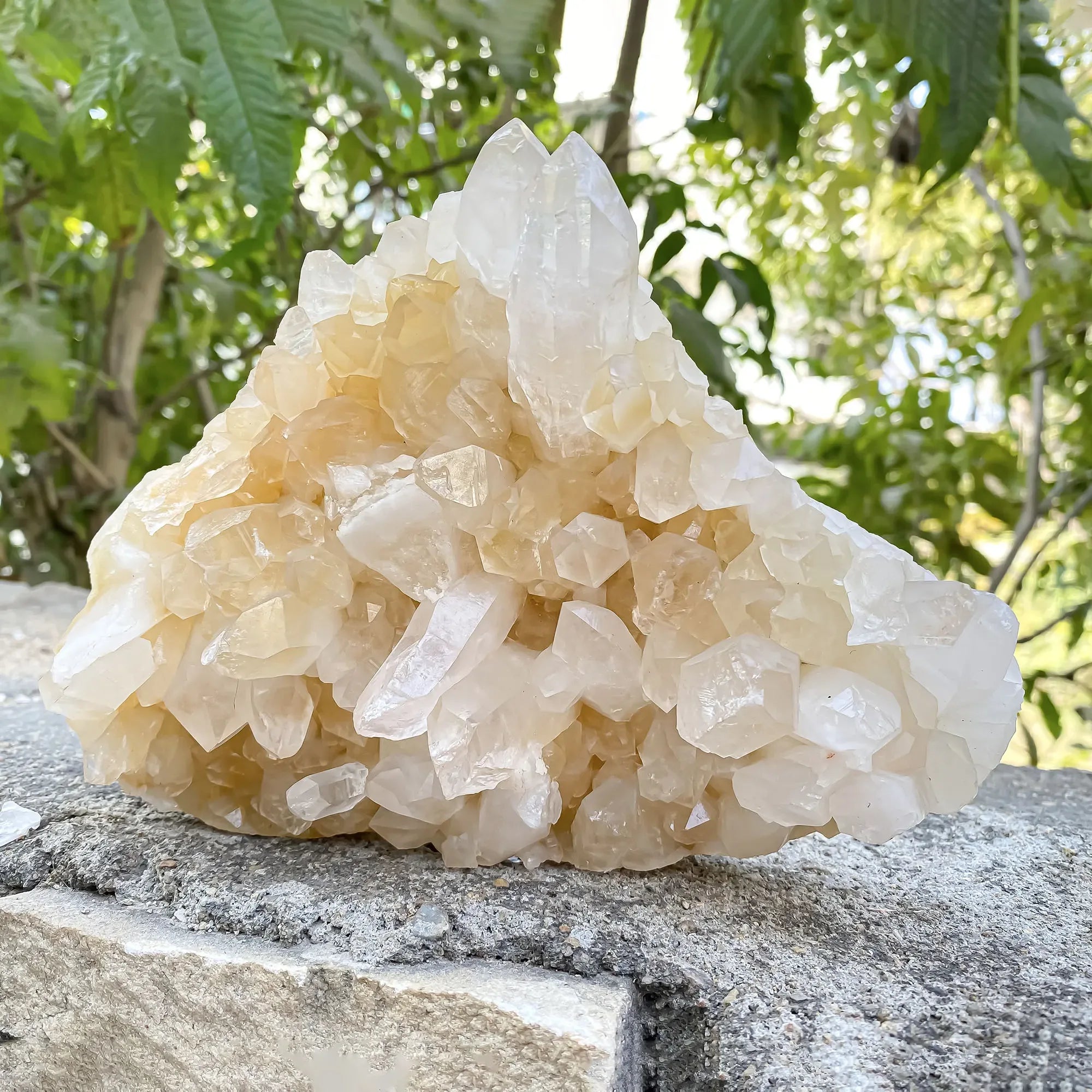 Natural Himalayan Yellow Quartz 1185g Himalayan Quartz
