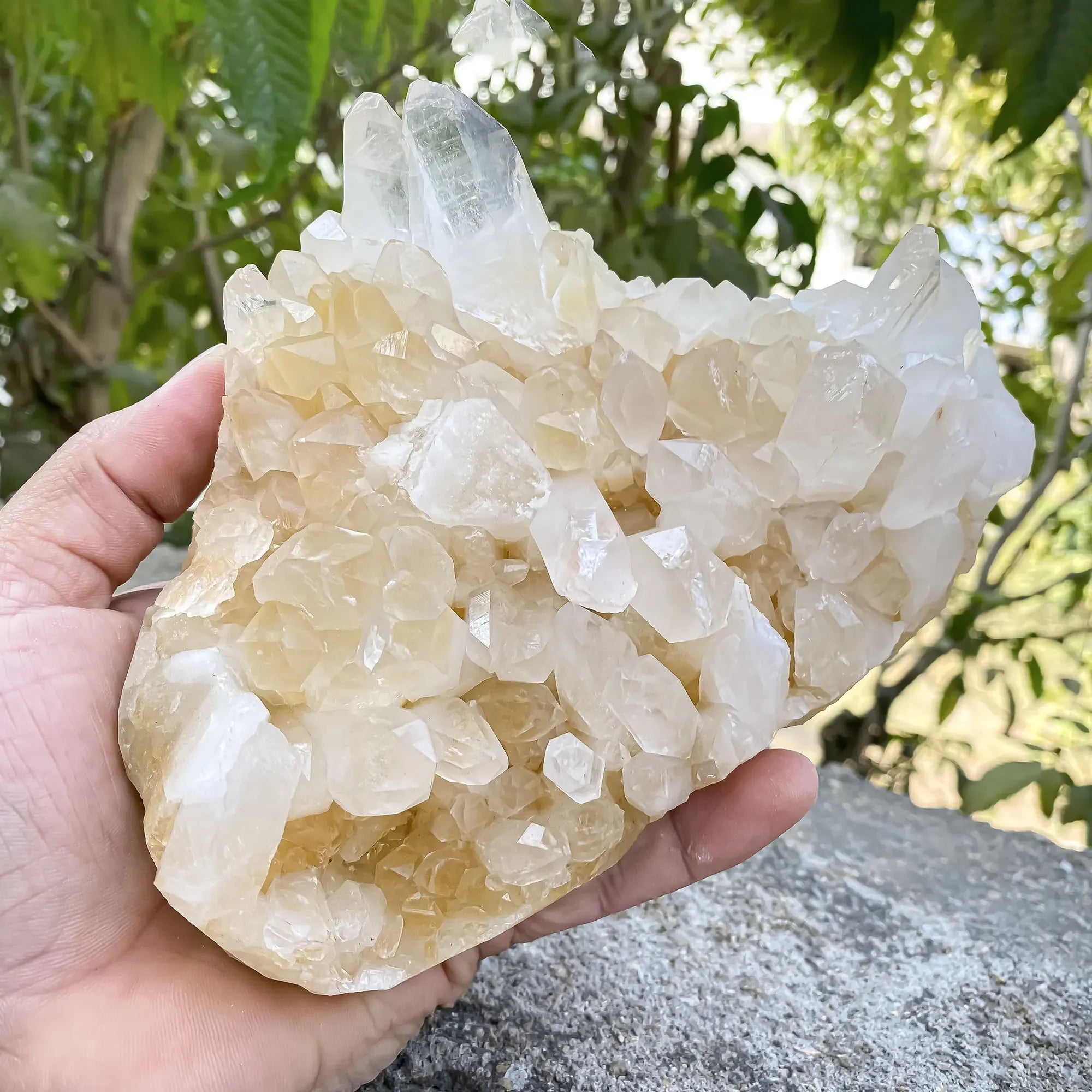 Natural Himalayan Yellow Quartz 1185g Himalayan Quartz