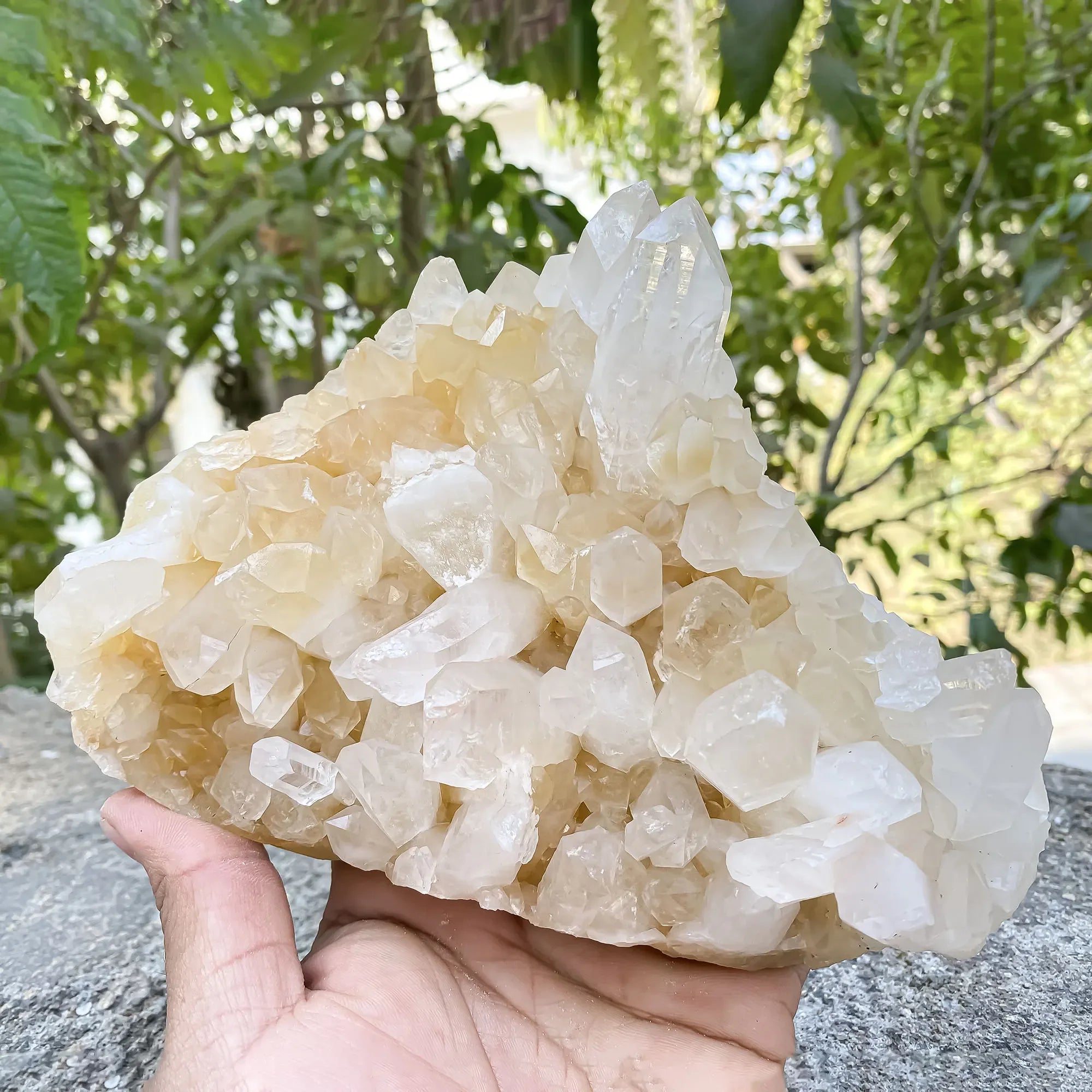 Natural Himalayan Yellow Quartz 1185g Himalayan Quartz