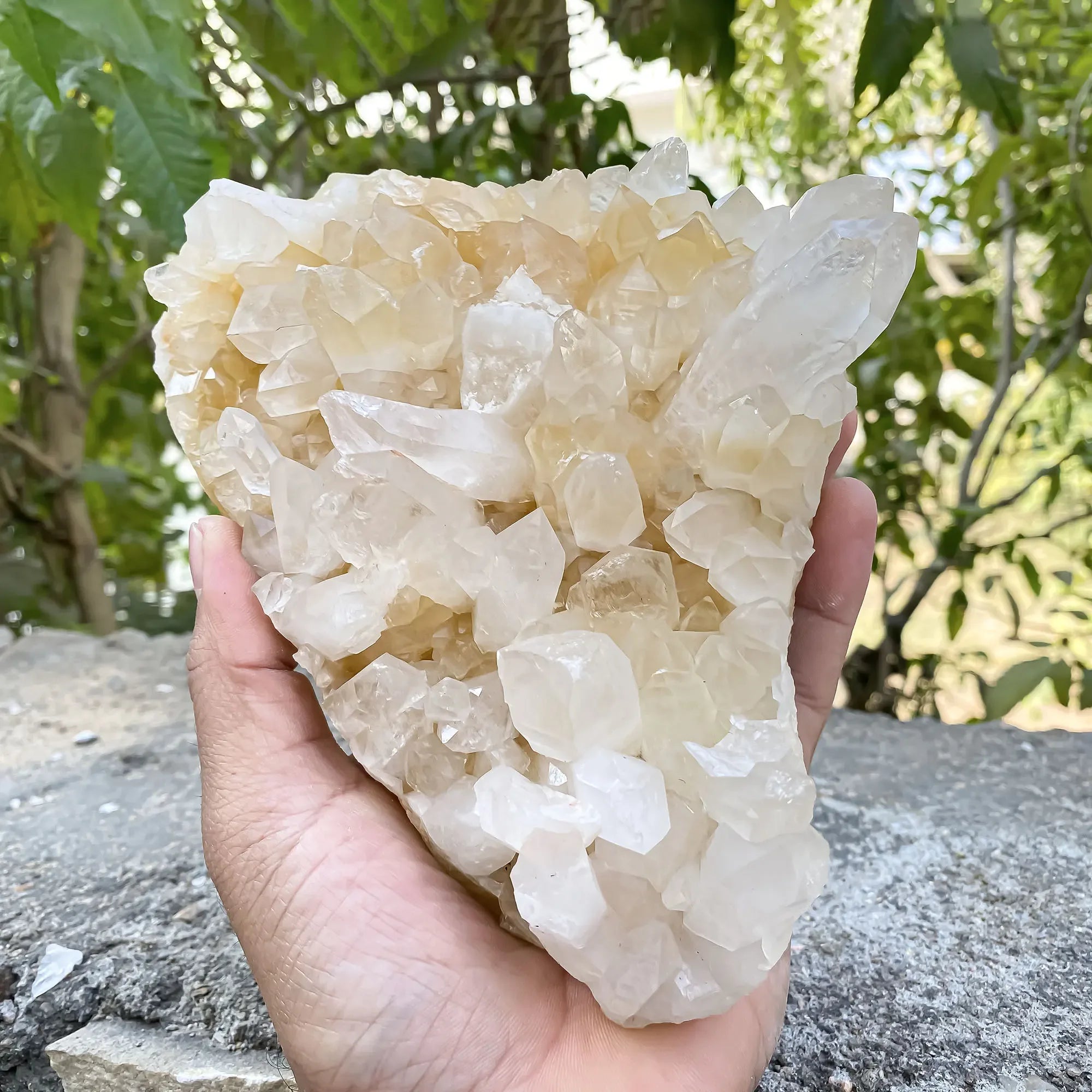 Natural Himalayan Yellow Quartz 1185g Himalayan Quartz