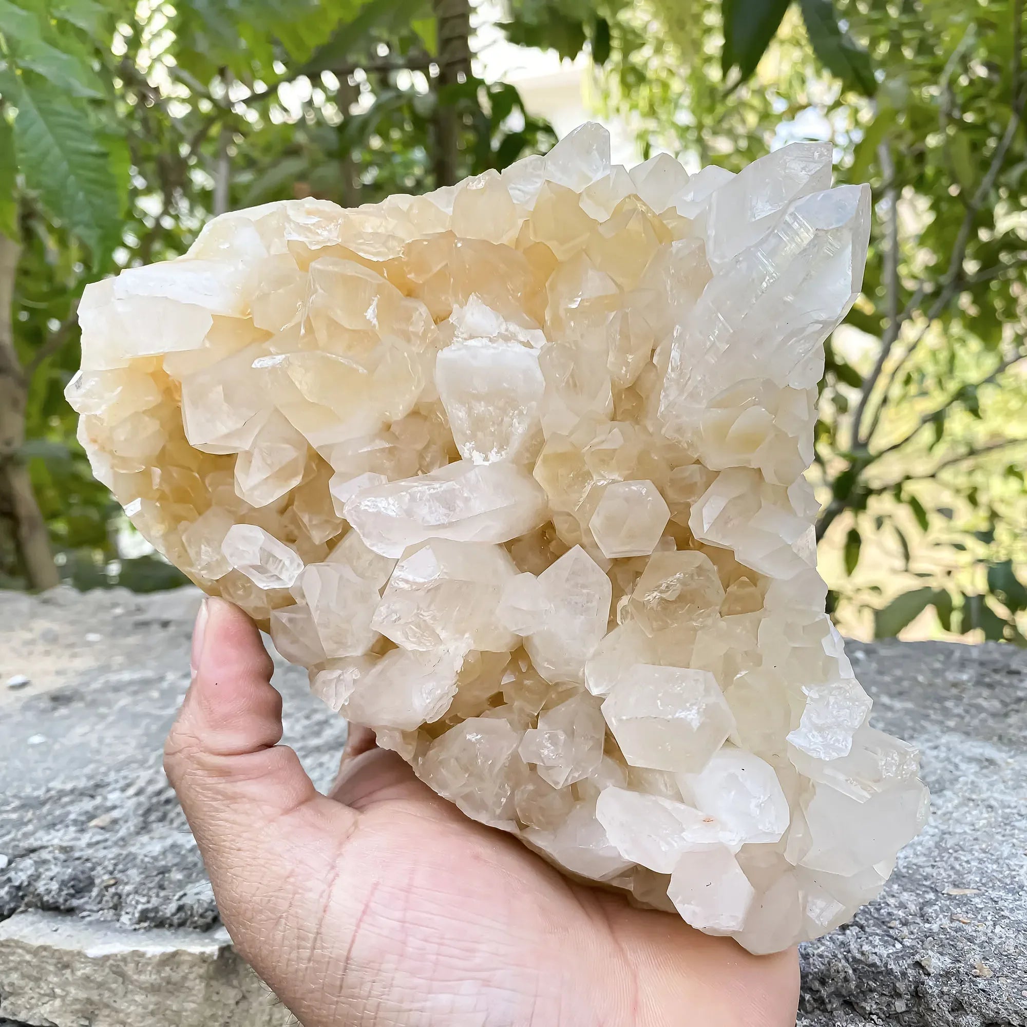 Natural Himalayan Yellow Quartz 1185g Himalayan Quartz