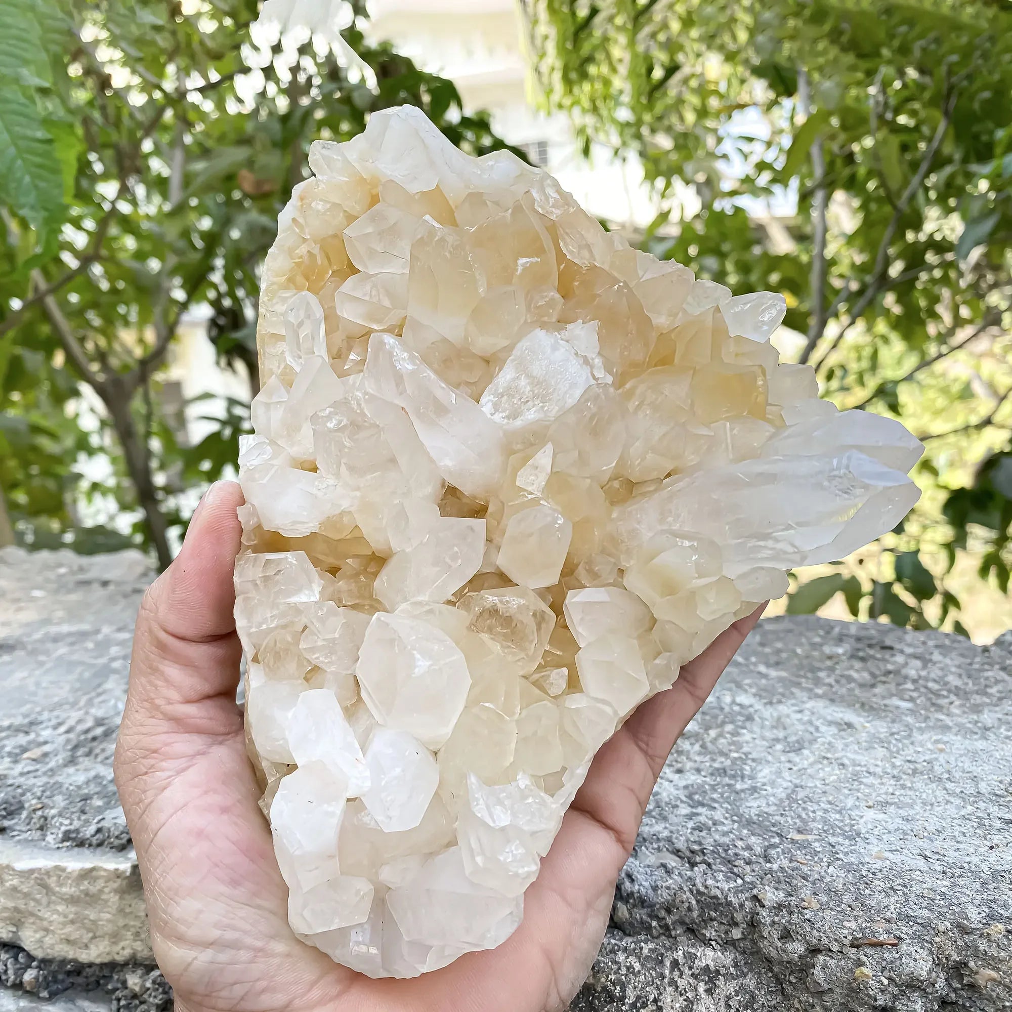 Natural Himalayan Yellow Quartz 1185g Himalayan Quartz