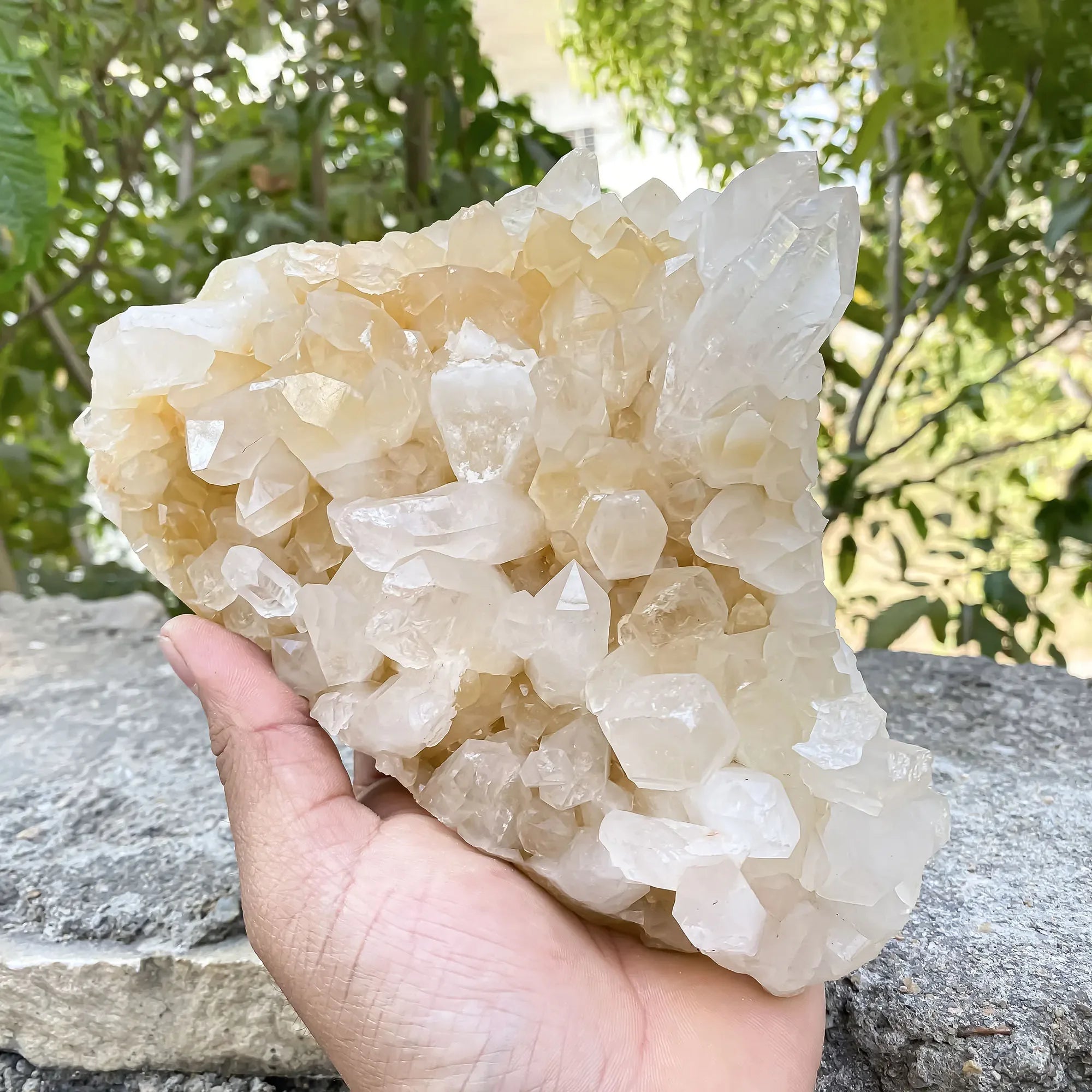 Natural Himalayan Yellow Quartz 1185g Himalayan Quartz