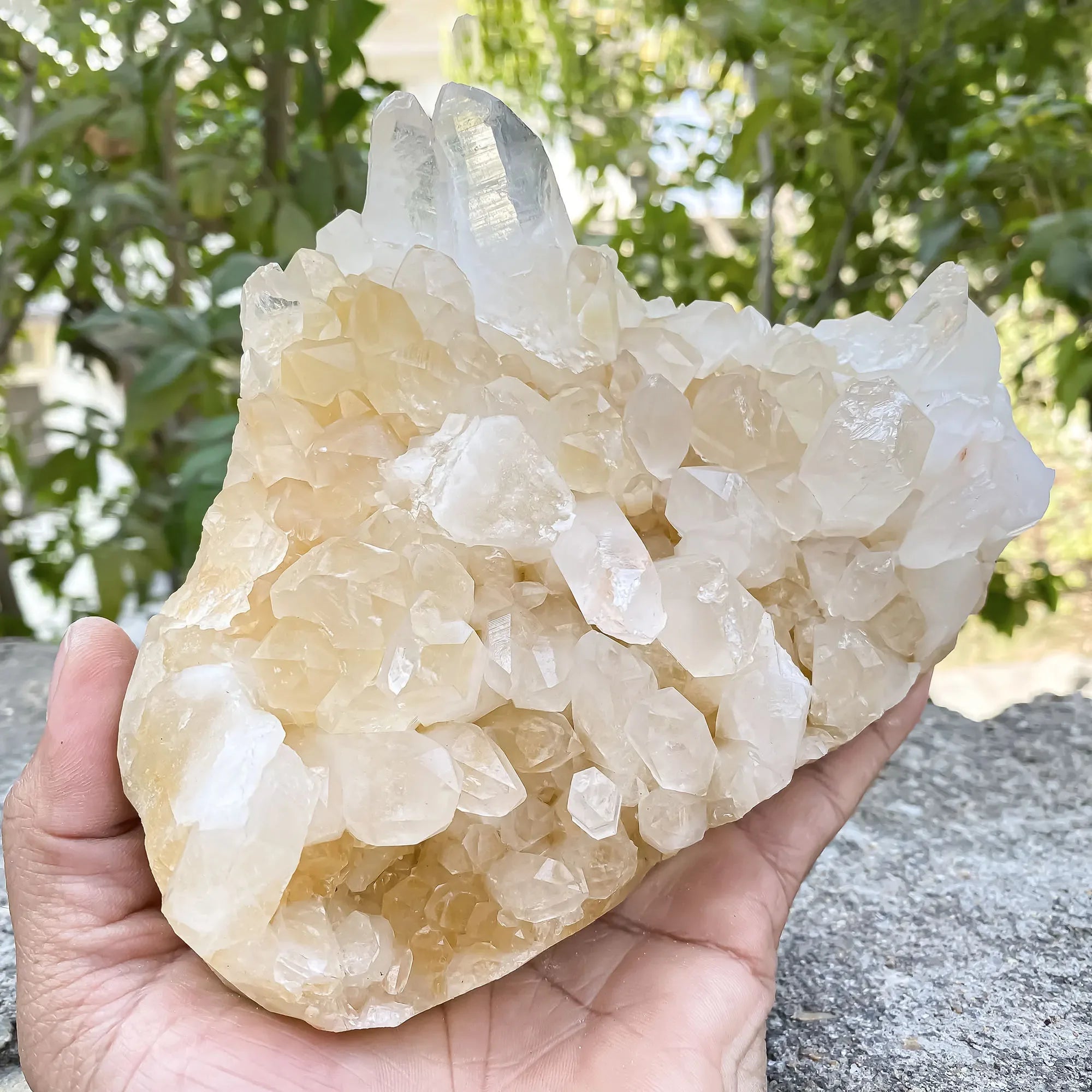 Natural Himalayan Yellow Quartz 1185g Himalayan Quartz