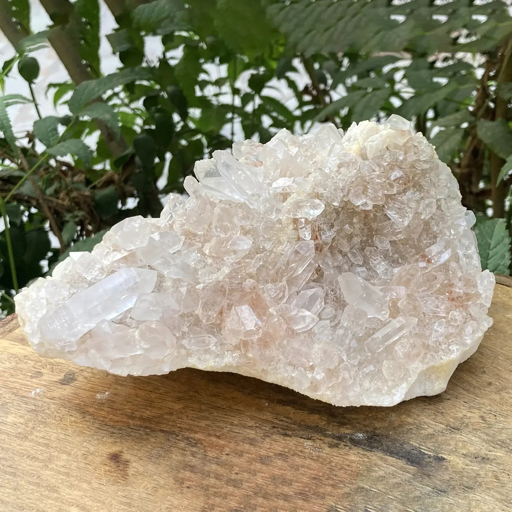 Natural Himalayan Pink Quartz Cluster 1440g Himalayan Quartz