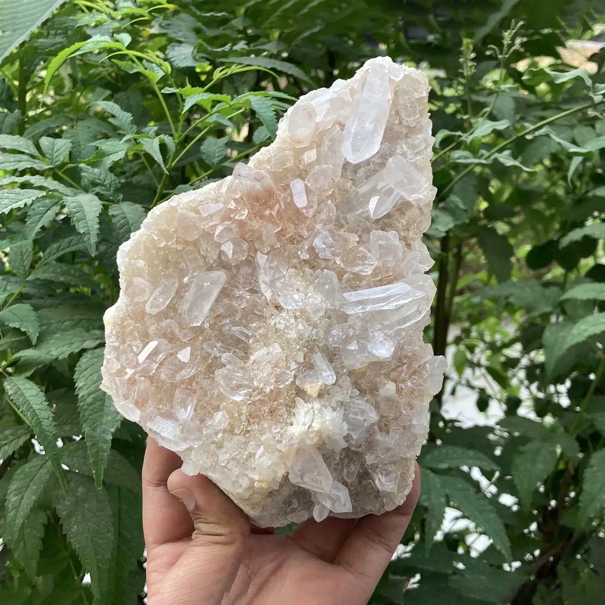 Natural Himalayan Pink Quartz Cluster 1440g Himalayan Quartz