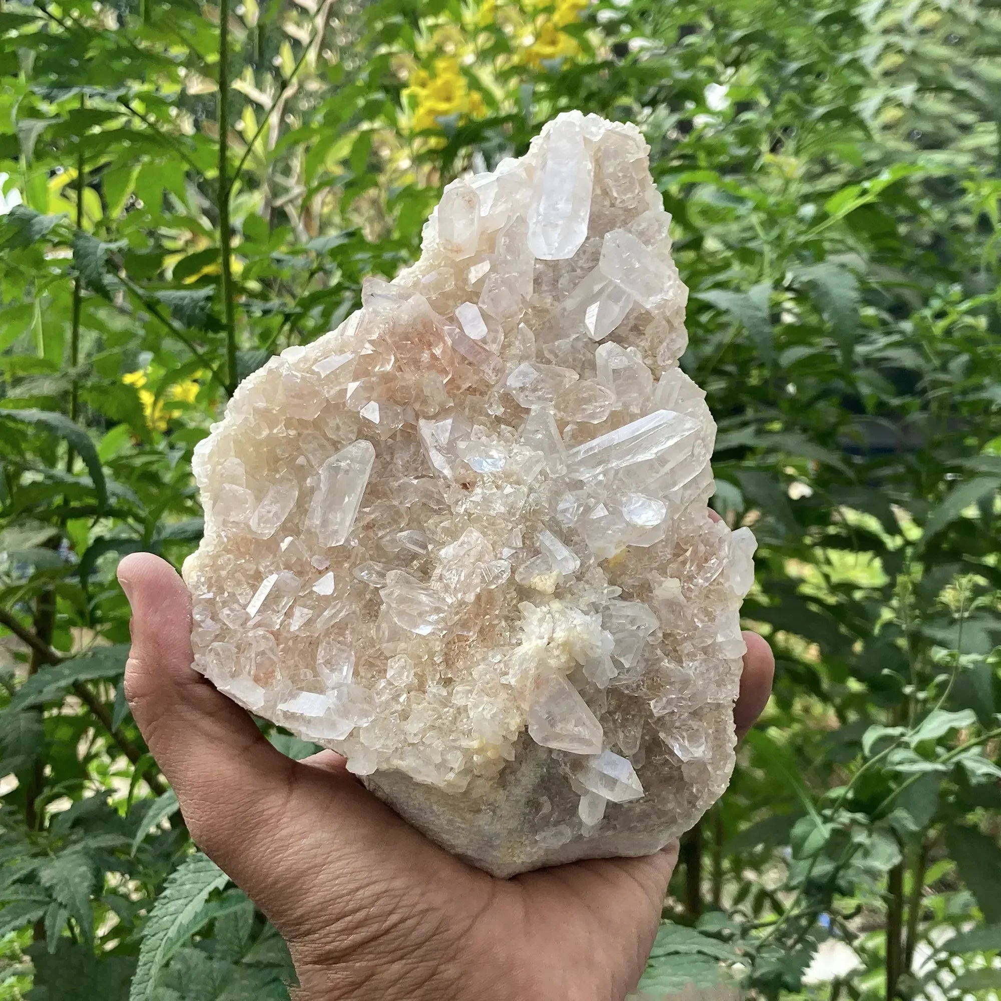 Natural Himalayan Pink Quartz Cluster 1440g Himalayan Quartz