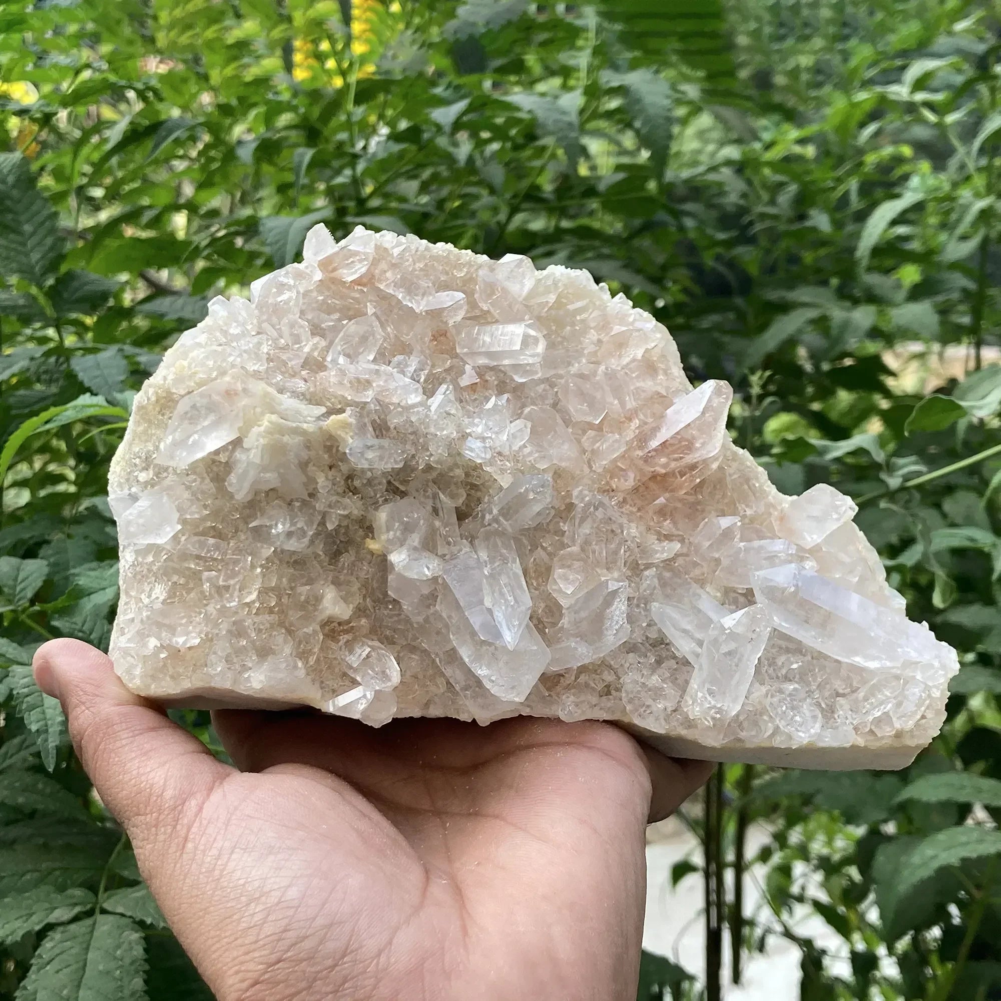 Natural Himalayan Pink Quartz Cluster 1440g Himalayan Quartz