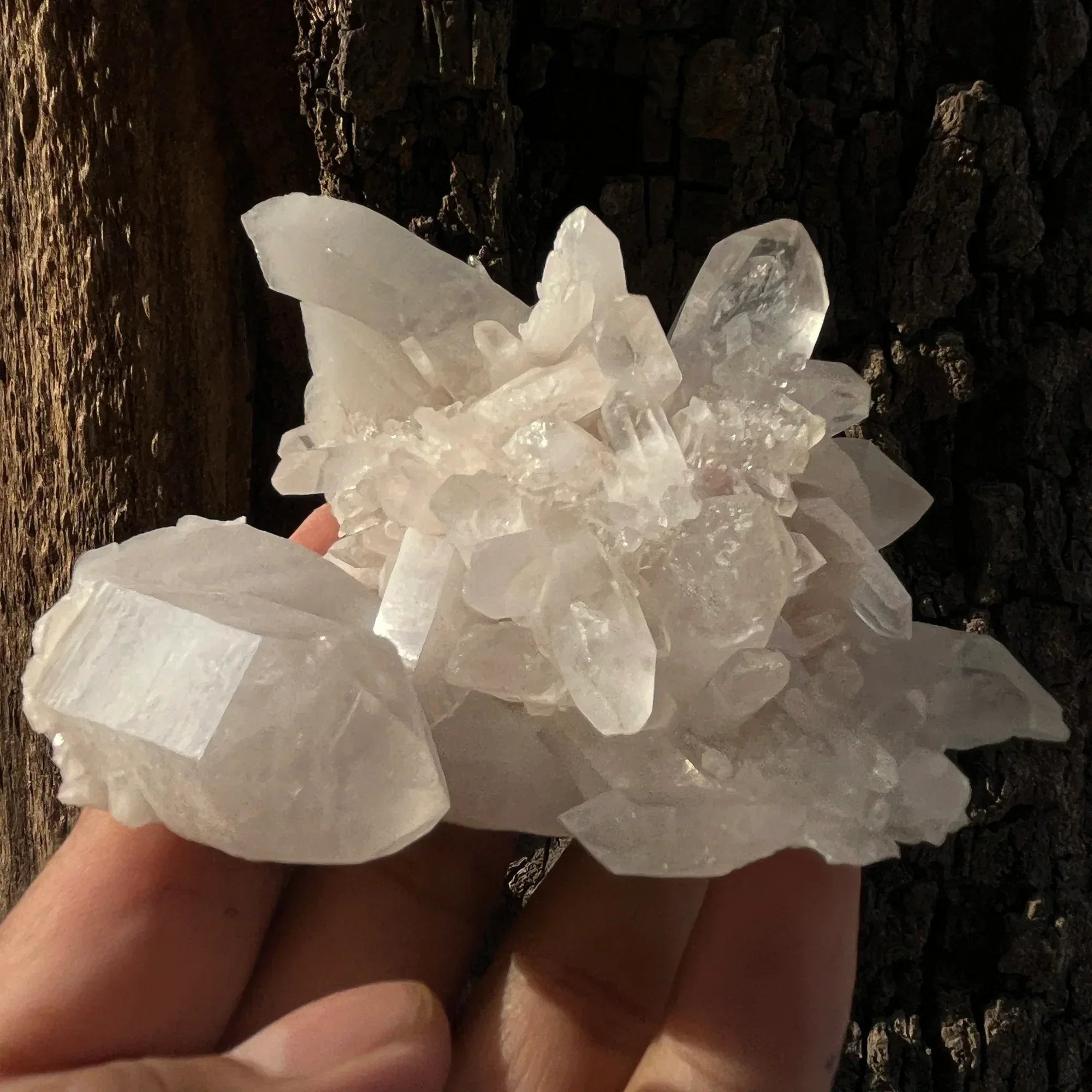 Natural Himalayan White Quartz Cluster 230g – Healing Crystal Himalayan Quartz