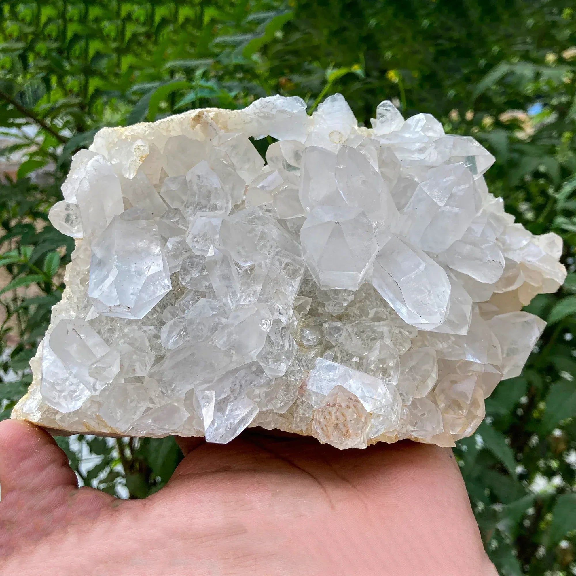 Natural Himalayan White Quartz Cluster 1335g Himalayan Quartz