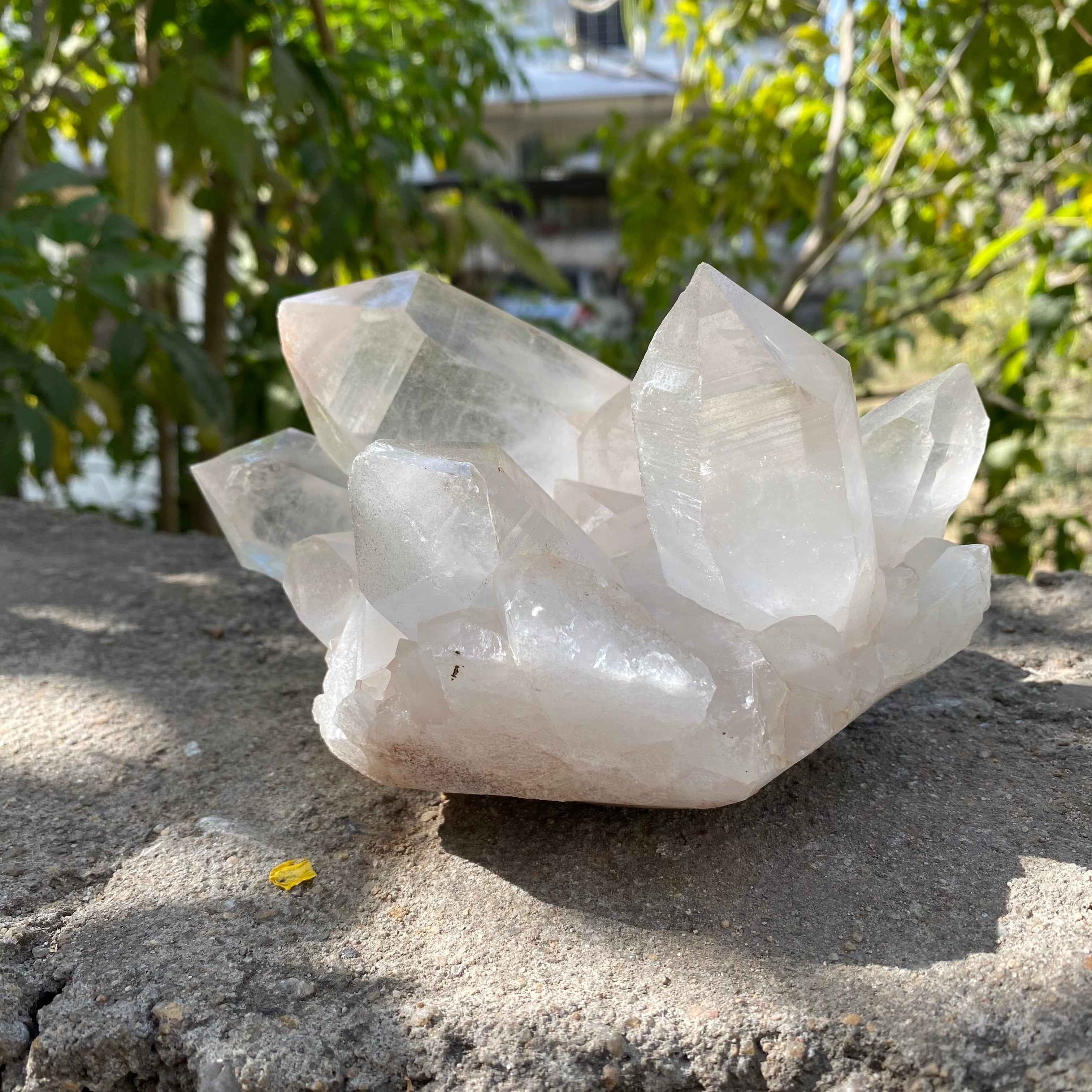 Himalayan White Quartz Cluster 1874g