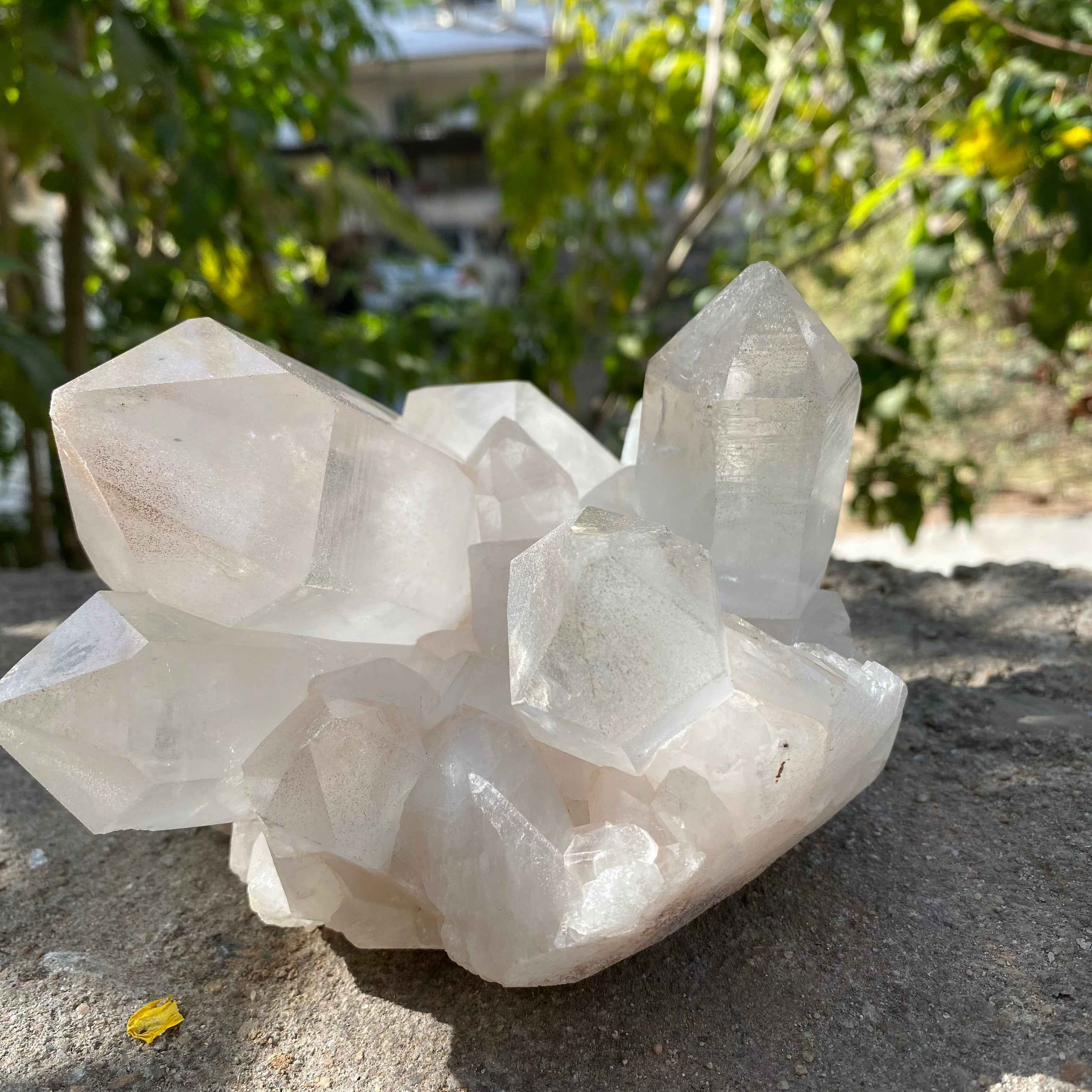 Himalayan White Quartz Cluster 1874g
