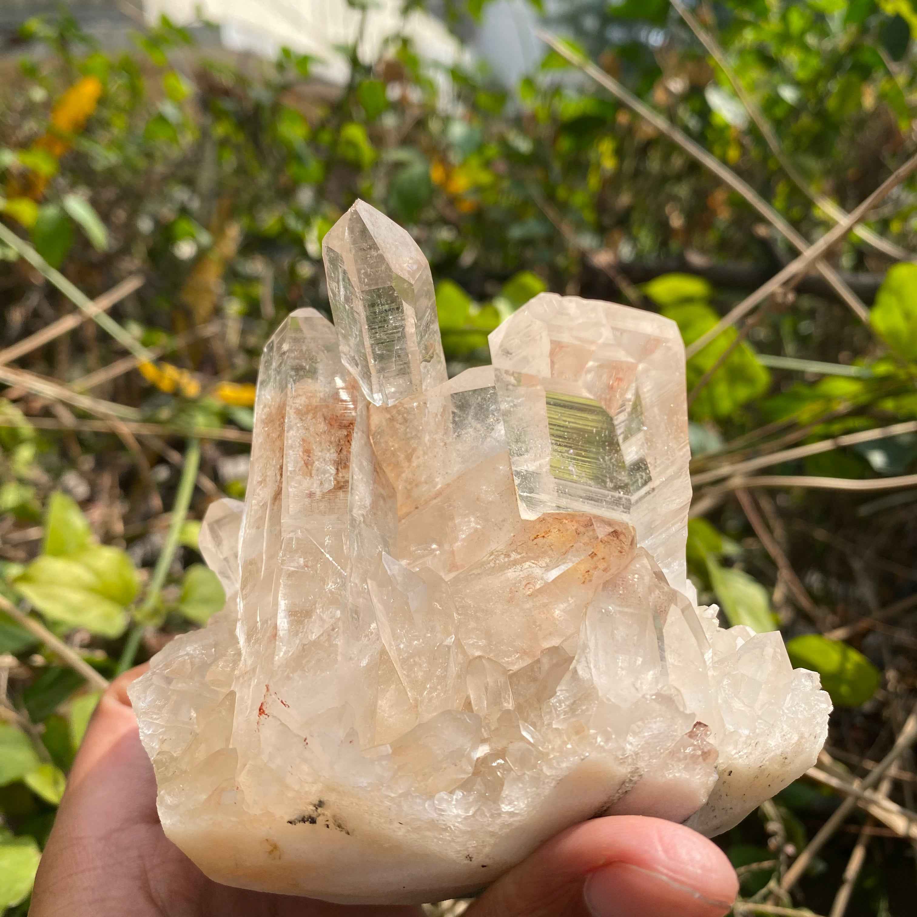 Natural Himalayan Pink Quartz Cluster 715g