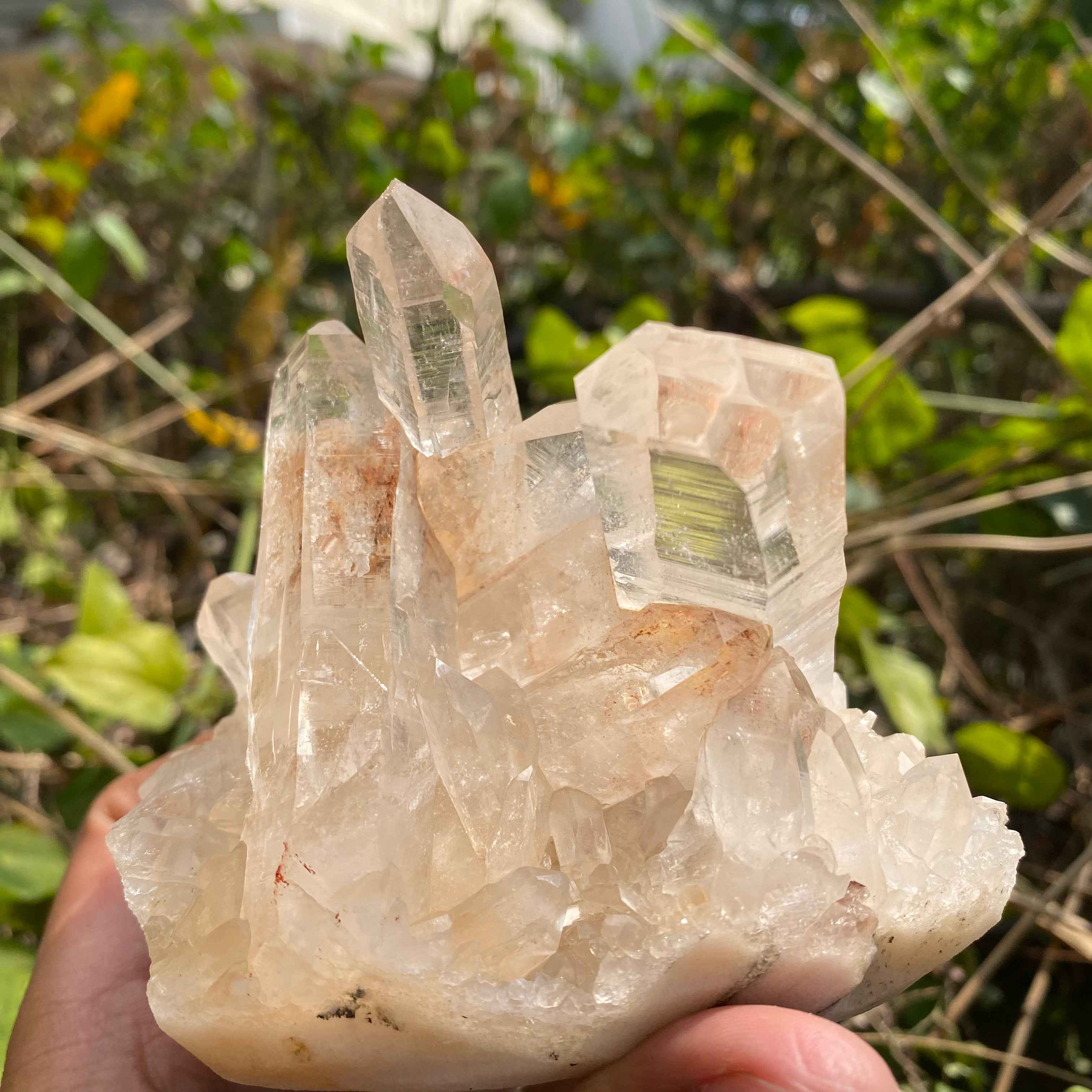 Natural Himalayan Pink Quartz Cluster 715g