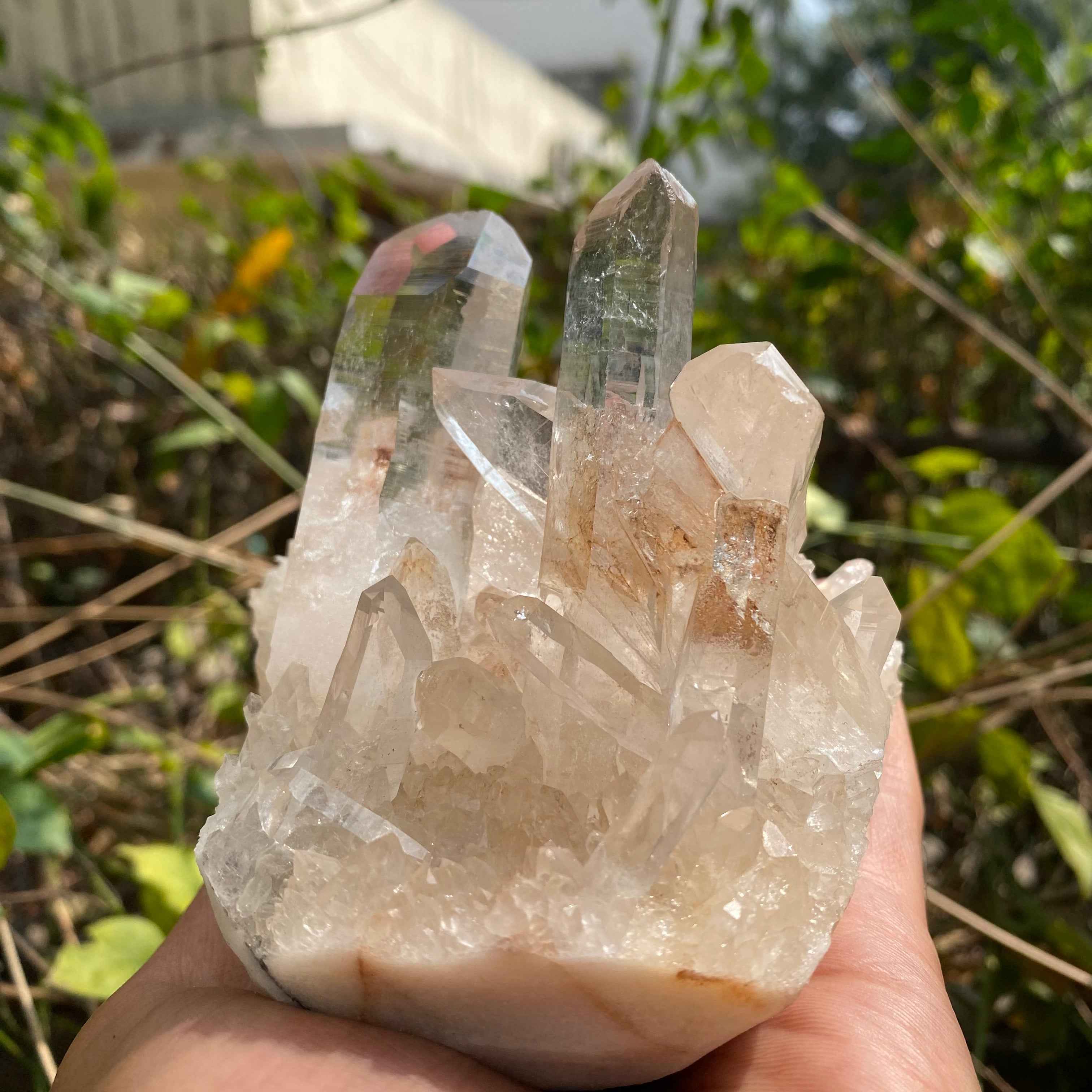Natural Himalayan Pink Quartz Cluster 715g