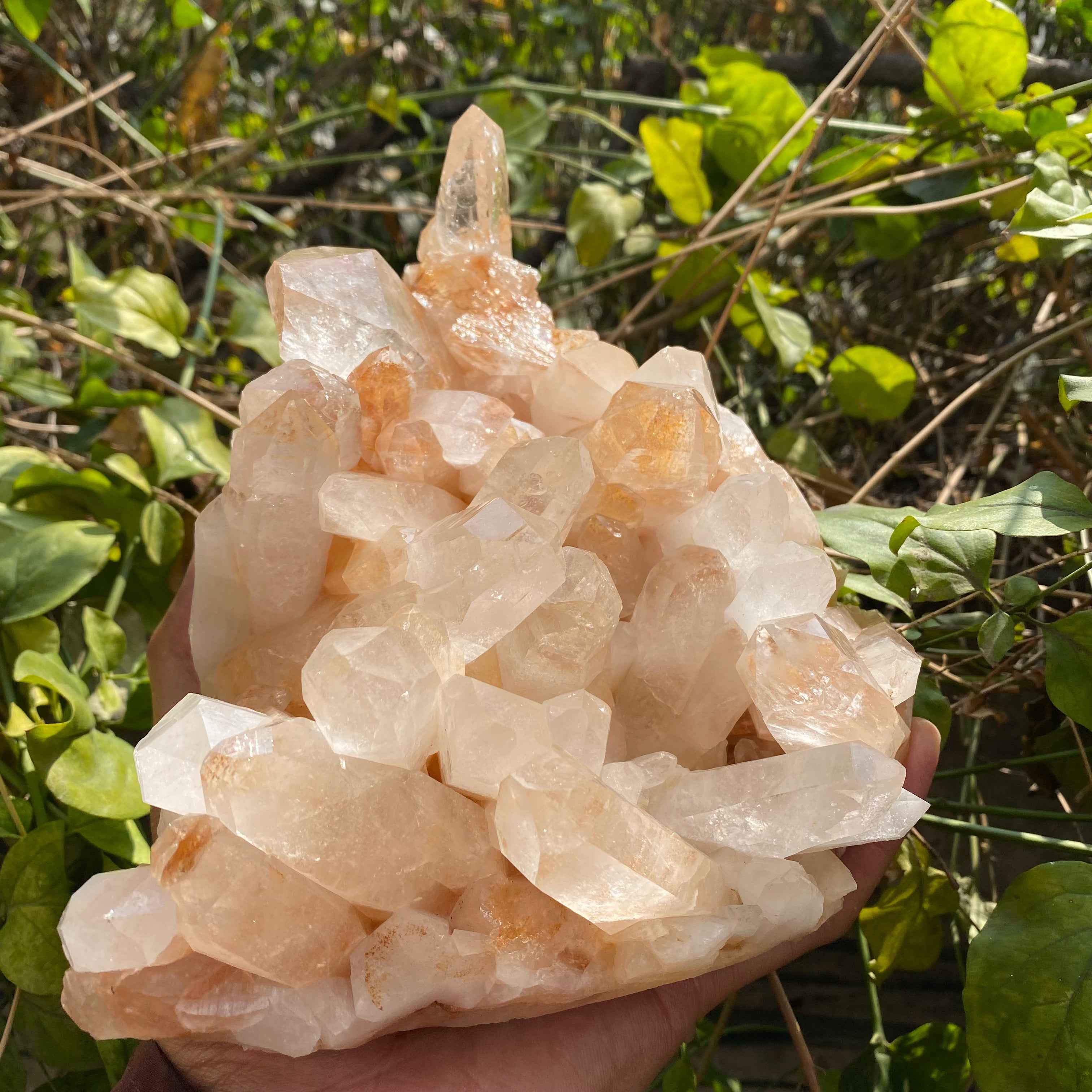 Himalayan Yellow Quartz Cluster 2150g