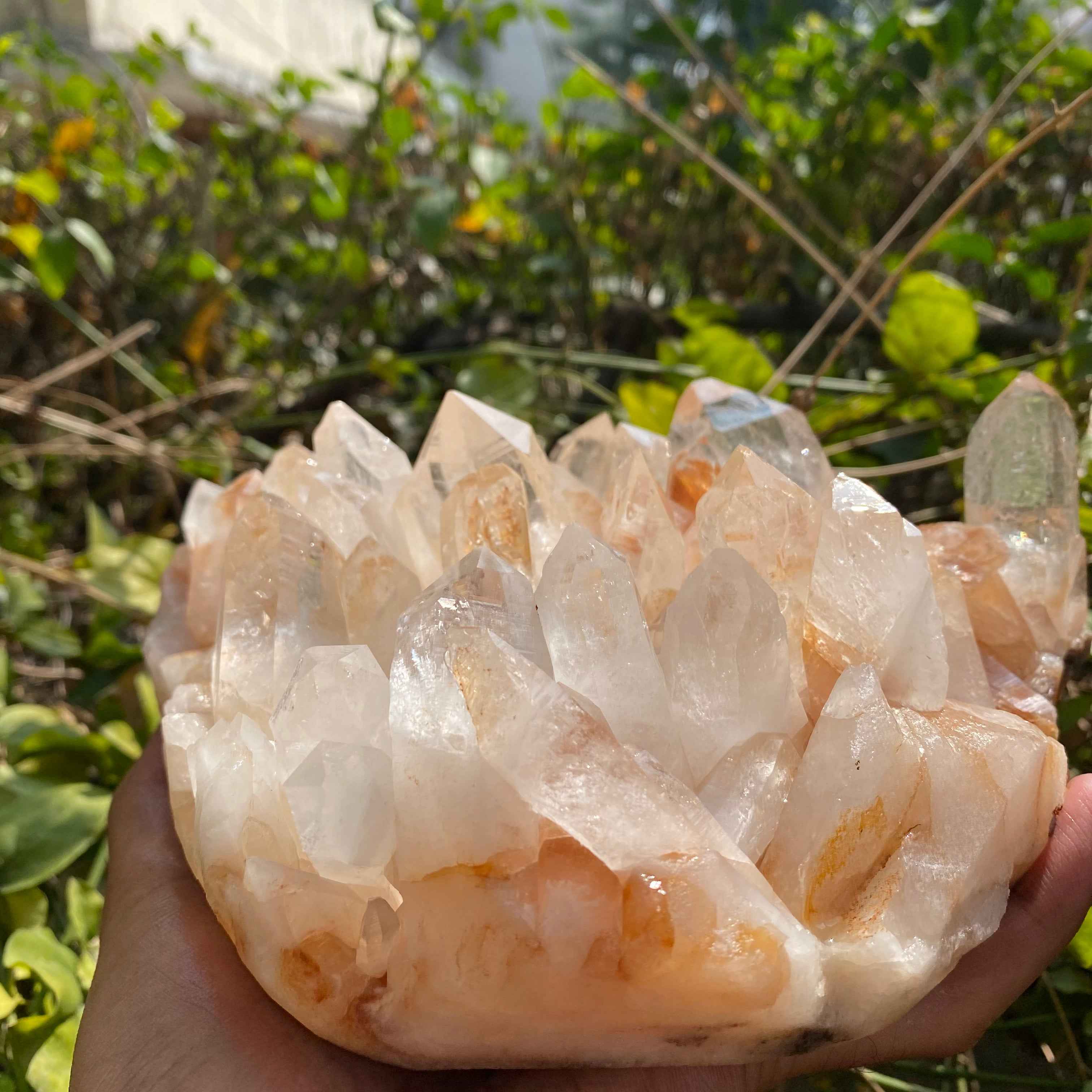 Himalayan Yellow Quartz Cluster 2150g