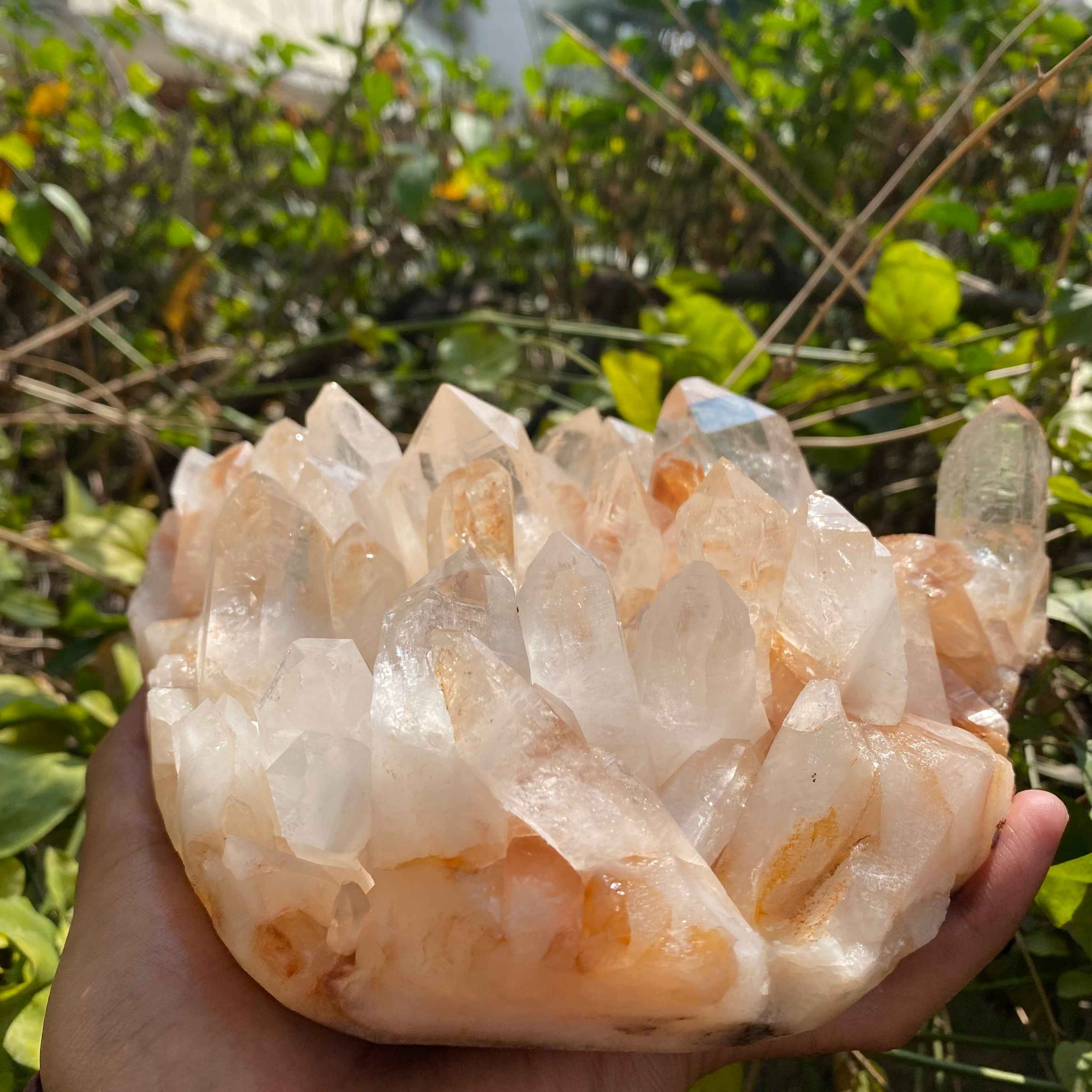 Himalayan Yellow Quartz Cluster 2150g