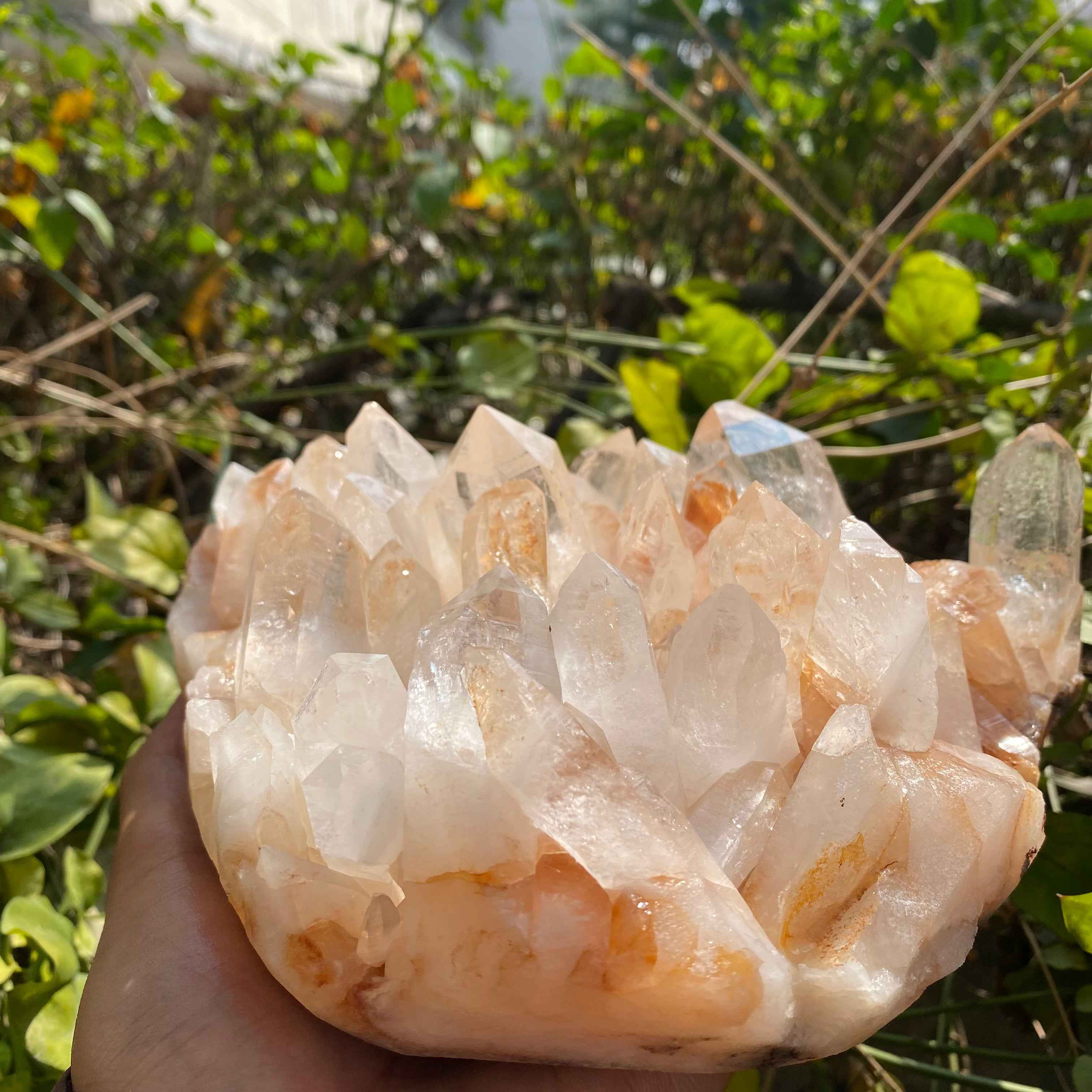 Himalayan Yellow Quartz Cluster 2150g