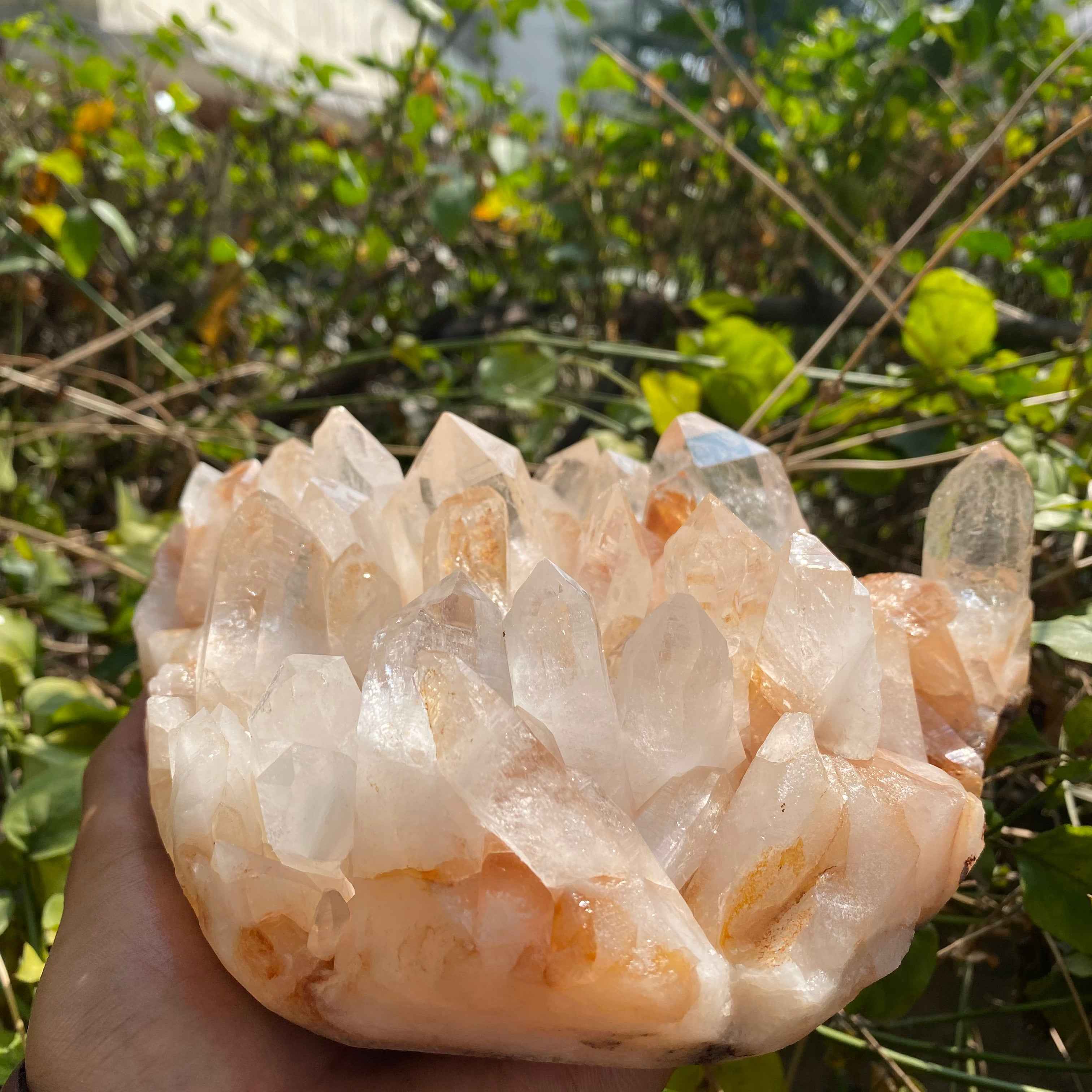 Himalayan Yellow Quartz Cluster 2150g