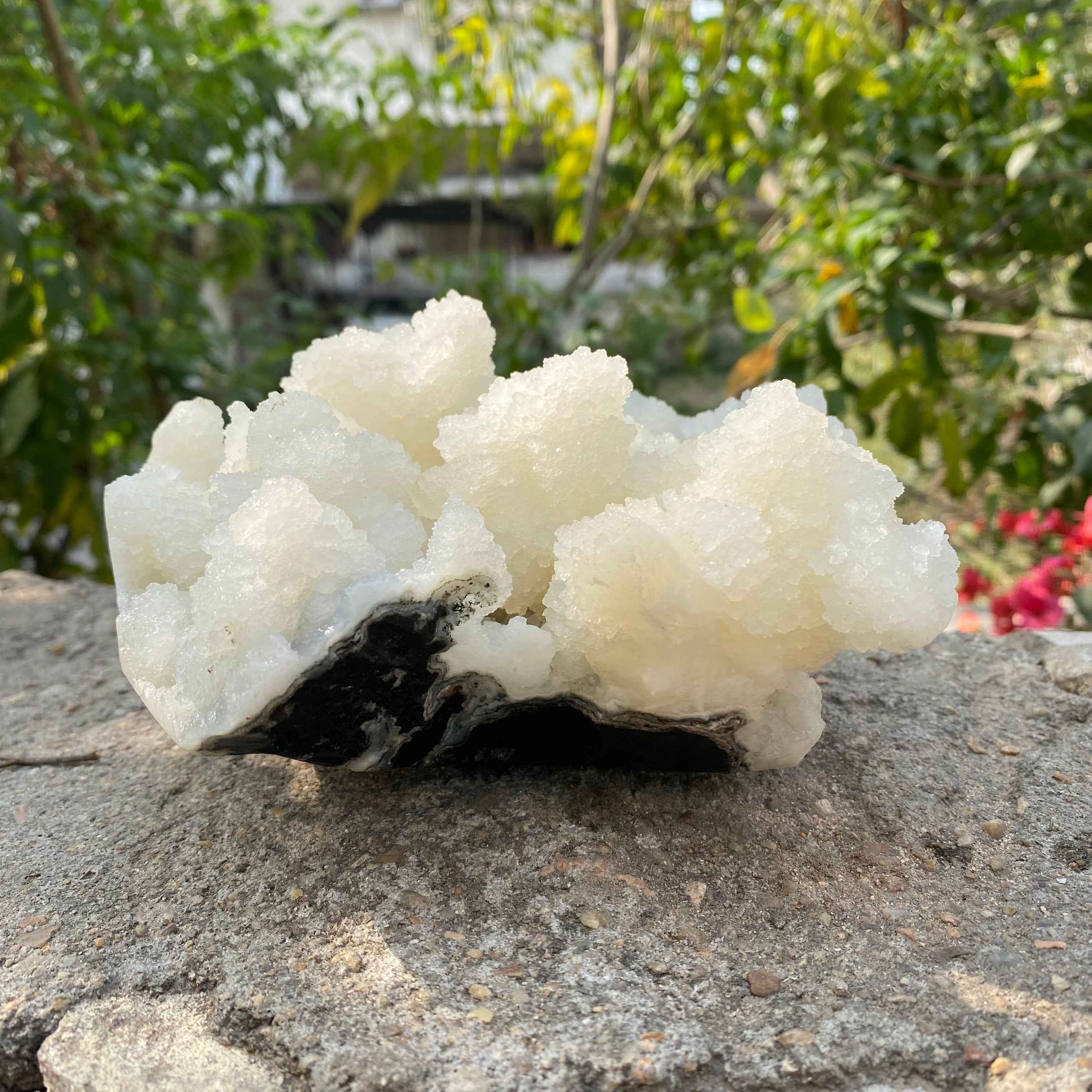 Natural Chalcedony Crystal Cluster 1655g