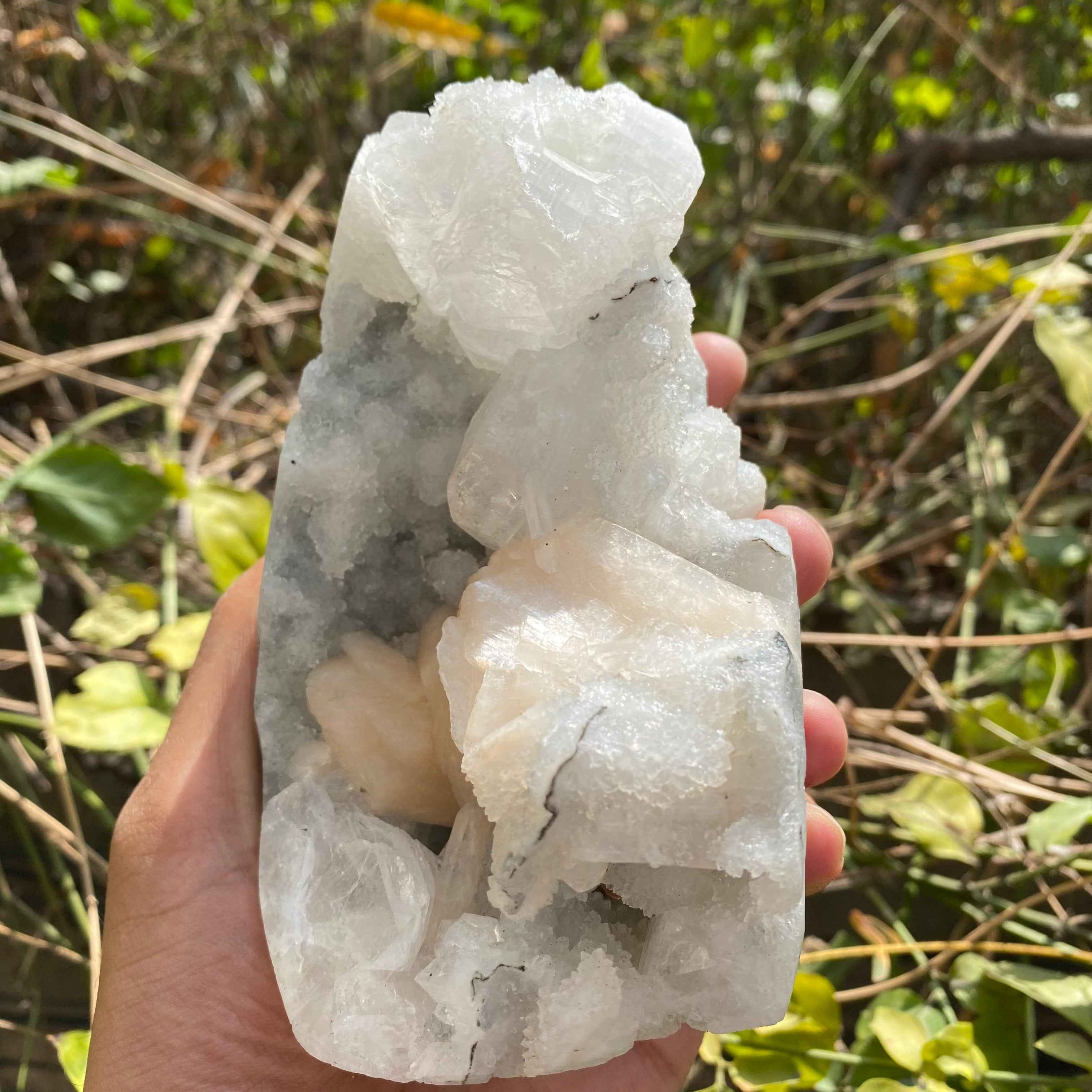Natural Apophyllite Crystal Cluster 715g