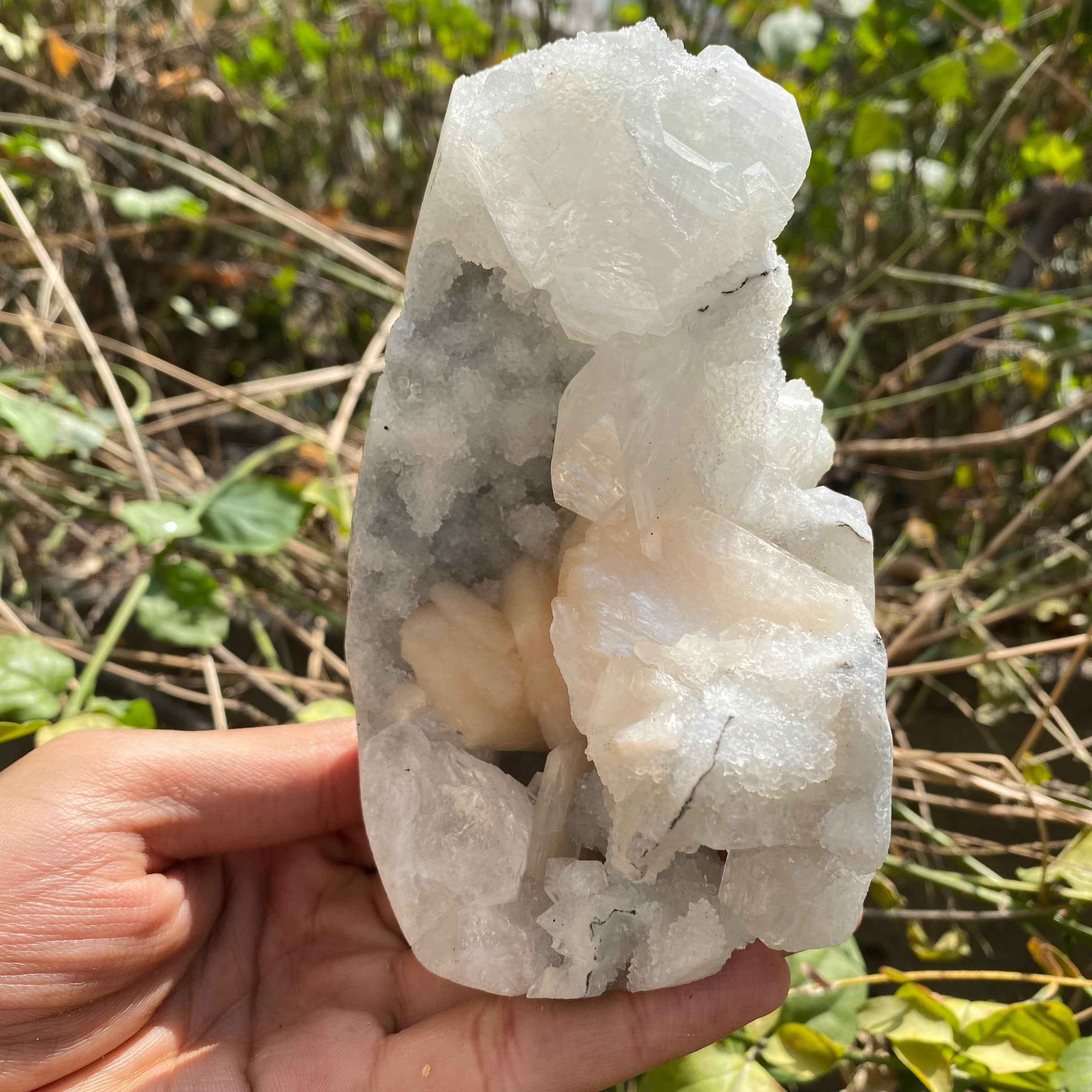 Natural Apophyllite Crystal Cluster 715g