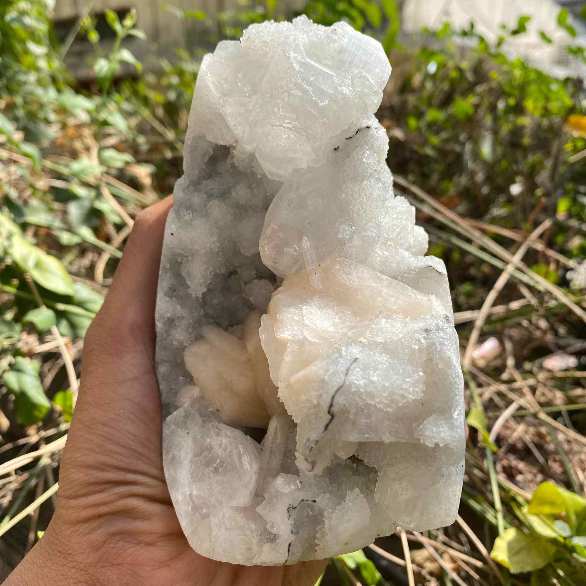 Natural Apophyllite Crystal Cluster 715g