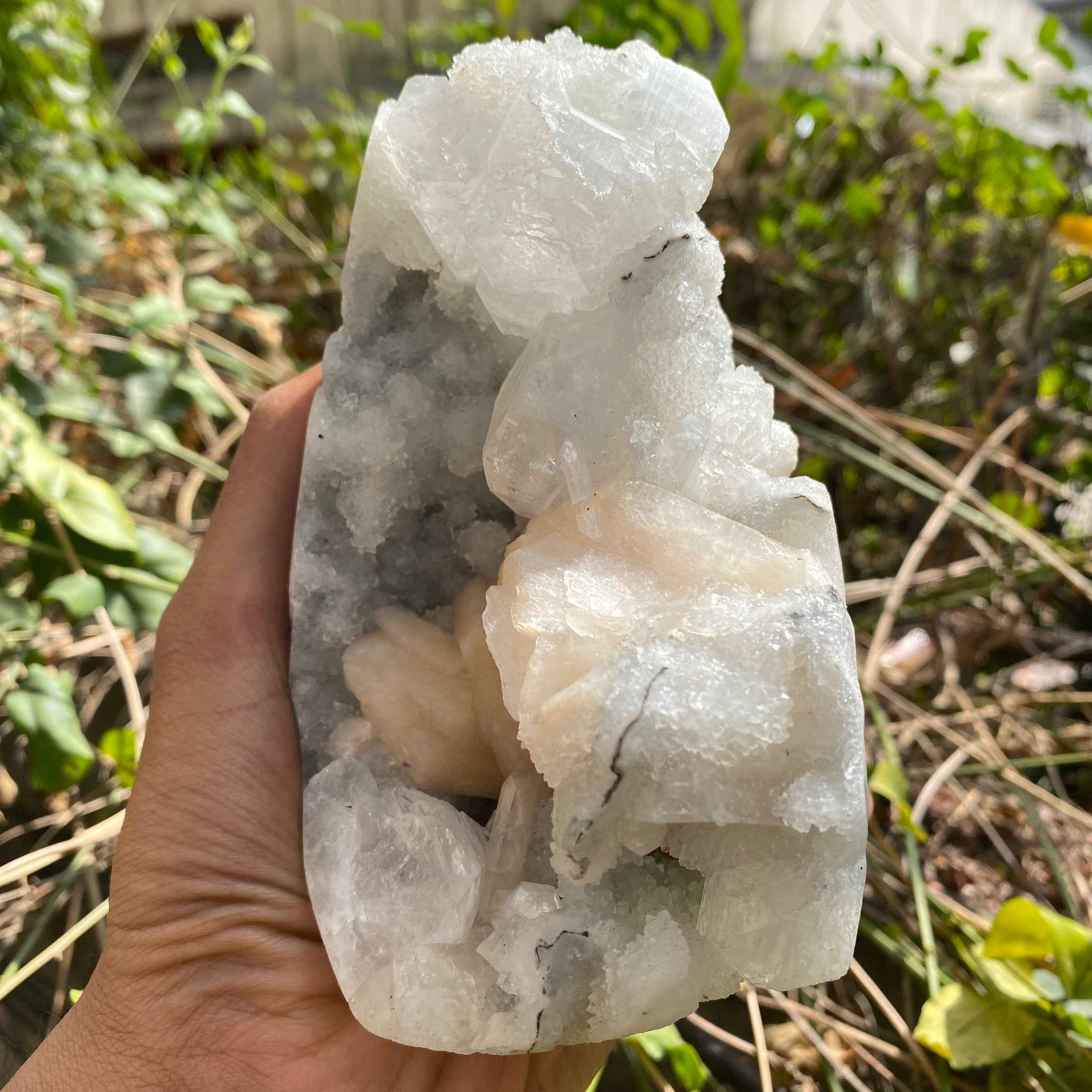 Natural Apophyllite Crystal Cluster 715g