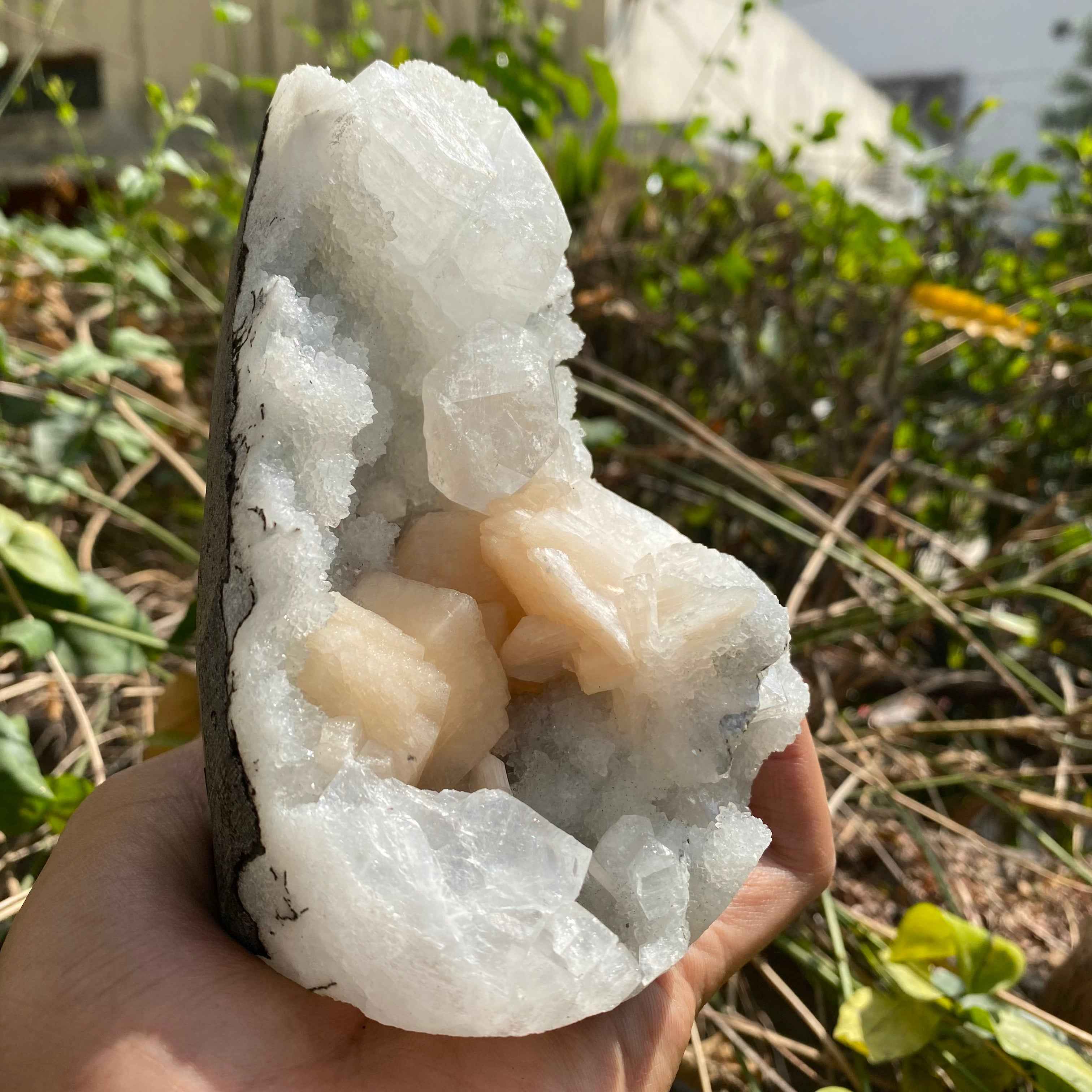 Natural Apophyllite Crystal Cluster 715g