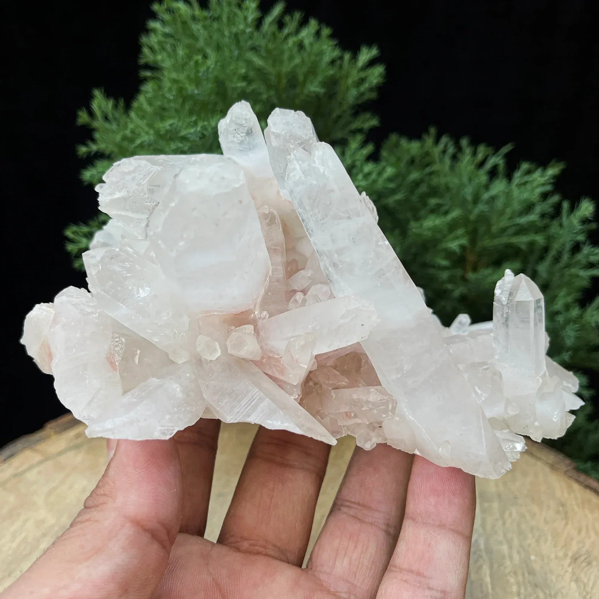 Natural Himalayan Pink Quartz Cluster 560g – Healing Crystal Himalayan Quartz