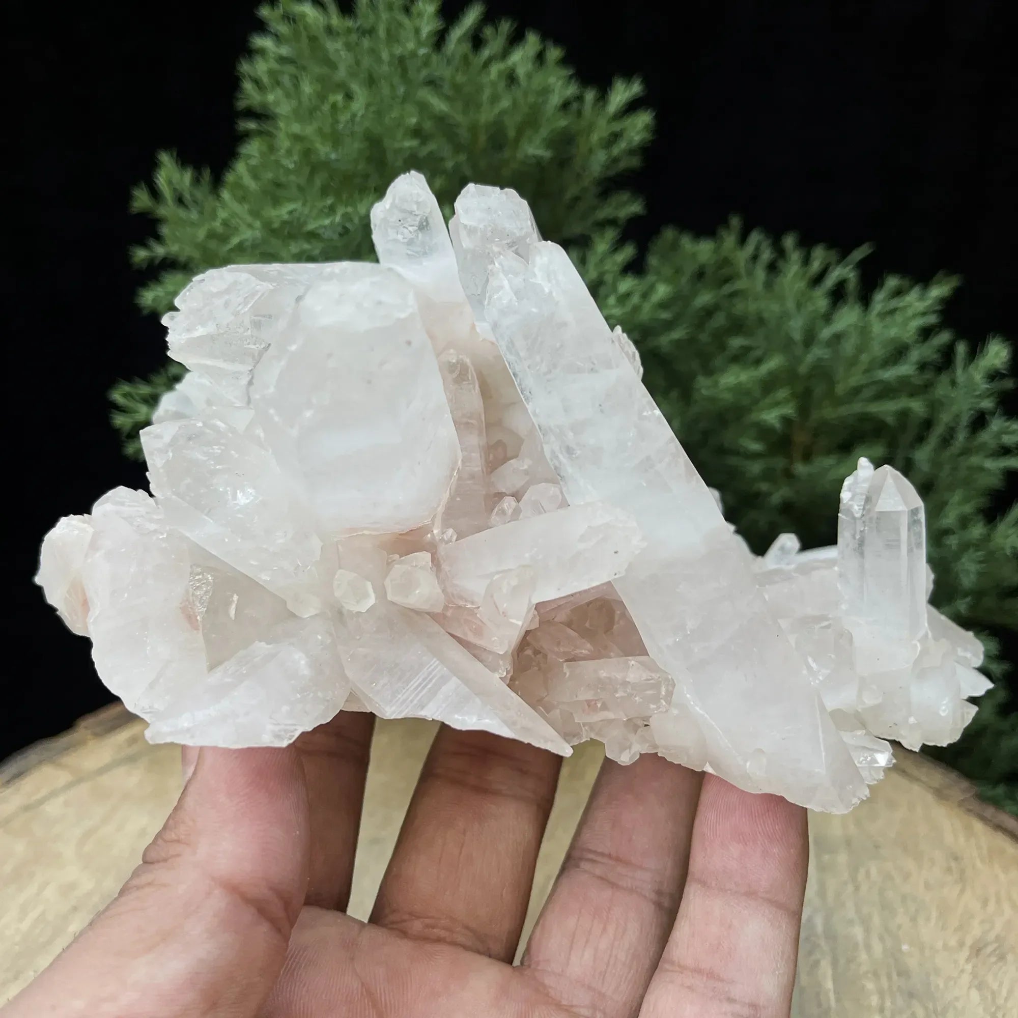 Natural Himalayan Pink Quartz Cluster 560g – Healing Crystal Himalayan Quartz
