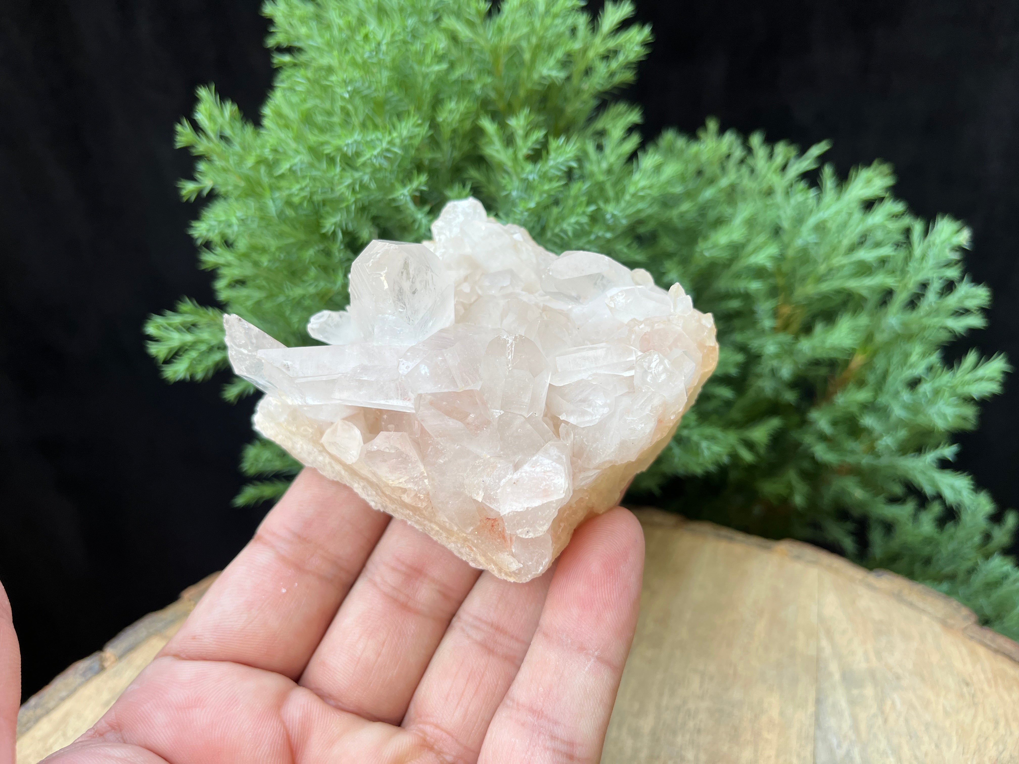 Pink Natural Himalayan Samadhi Quartz Crystal Raw Cluster Healing Collector Piece