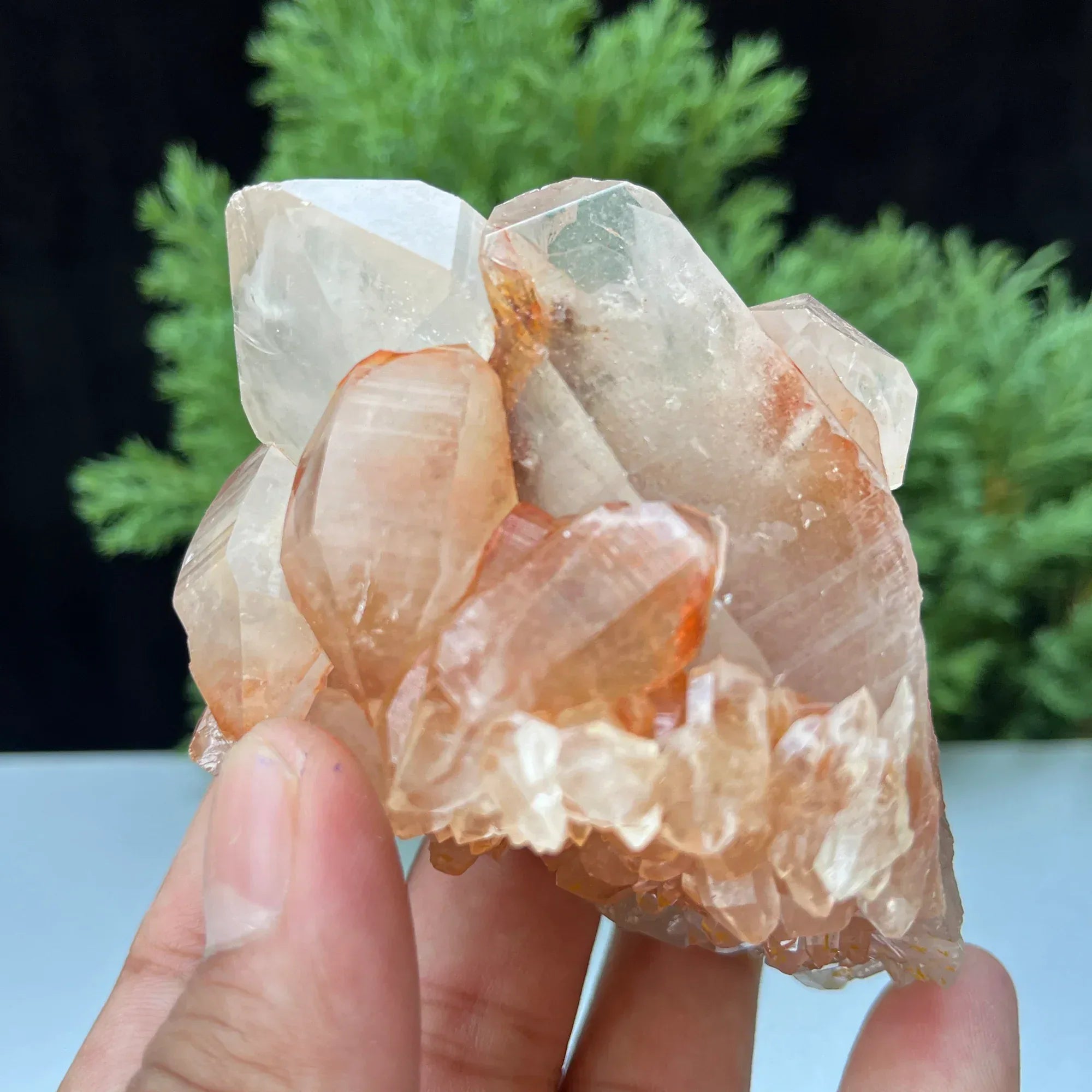 Natural Himalayan Pink Quartz Cluster 325g – Healing Crystal Himalayan Quartz