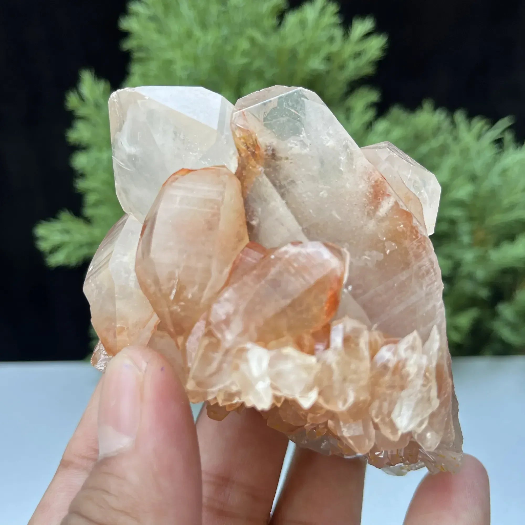 Natural Himalayan Pink Quartz Cluster 325g – Healing Crystal Himalayan Quartz